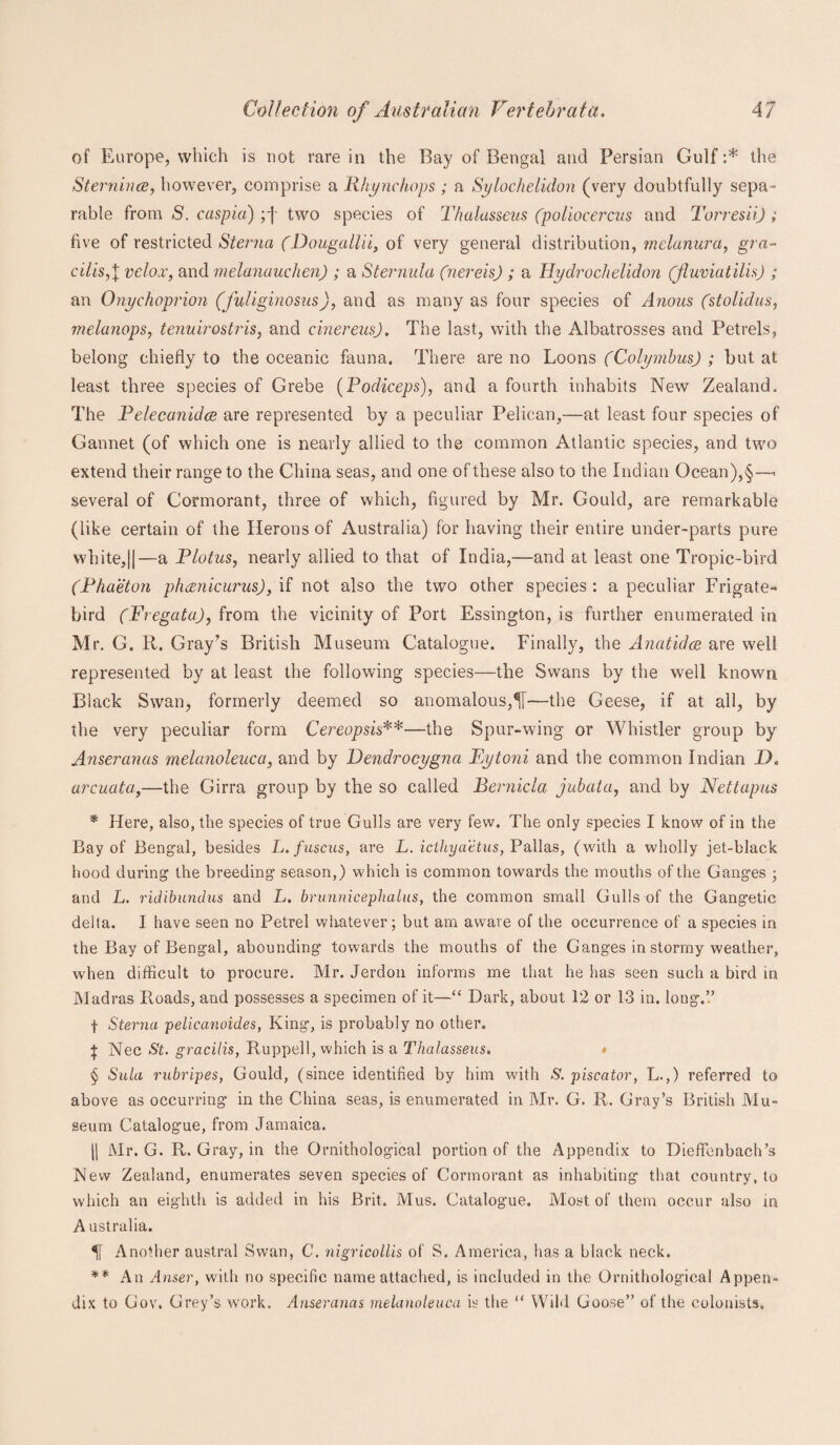 of Europe, which is not rare in the Bay of Bengal and Persian Gulf :* the Sternince, however, comprise a Rhyne hops; a Sylochelidon (very doubtfully sepa¬ rable from S. caspia) ;j two species of Thalasseus (poliocercus and Torresii); five of restricted Sterna ( Dougallii, of very general distribution, melanura, gra¬ cilis,\ velox, and melanauchen) ; a Sternula (nereis) ; a Hydrochelidon (flumatilis) ; an Onychoprion (fuligmosus), and as many as four species of Anous (stolidus, melanops, tenuirostris, and cinereusj. The last, with the Albatrosses and Petrels, belong chiefly to the oceanic fauna. There are no Loons (Colymbus) ; but at least three species of Grebe (Podiceps), and a fourth inhabits New Zealand, The Pelecunidce are represented by a peculiar Pelican,—at least four species of Gannet (of which one is nearly allied to the common Atlantic species, and two extend their range to the China seas, and one of these also to the Indian Ocean),§— several of Cormorant, three of which, figured by Mr. Gould, are remarkable (like certain of the Herons of Australia) for having their entire under-parts pure white,||—a Plains, nearly allied to that of India,—and at least one Tropic-bird (Phaeton phcenicurus), if not also the two other species : a peculiar Frigate- bird (Fregata), from the vicinity of Port Essington, is further enumerated in Mr. G. R. Gray’s British Museum Catalogue. Finally, the Anatidce are well represented by at least the following species—the Swans by the well known Black Swan, formerly deemed so anomalous,—the Geese, if at all, by the very peculiar form Cereopsis**—the Spur-wing or Whistler group by Anseranas melanoleuca, and by Dendrocygna Pytoni and the common Indian D, arcuata,—the Girra group by the so called Bernicla jubala, and by Nettapus * Here, also, the species of true Gulls are very few. The only species I know of in the Bay of Bengal, besides L.fuscus, are L. icthyactus, Pallas, (with a wholly jet-black hood during the breeding season,) which is common towards the mouths of the Ganges ; and L. ridibundus and L. brunnicephalus, the common small Gulls of the Gangetic delta. I have seen no Petrel whatever; but am aware of the occurrence of a species in the Bay of Bengal, abounding towards the mouths of the Ganges in stormy weather, when difficult to procure. Mr. Jerdon informs me that he has seen such a bird in Madras Roads, and possesses a specimen of it—“ Dark, about 12 or 13 in. long.” f Sterna pelicanoides, King, is probably no other. | Nec St. gracilis, Ruppell, which is a Thalasseus. • § Sula rubripes, Gould, (since identified by him with S. piscator, L.,) referred to above as occurring in the China seas, is enumerated in Mr. G. R. Gray’s British Mu¬ seum Catalogue, from Jamaica. || Mr. G. R. Gray, in the Ornithological portion of the Appendix to Dieffenbach’s New Zealand, enumerates seven species of Cormorant as inhabiting that country, to which an eighth is added in his Brit. Mus. Catalogue. Most of them occur also in Australia. *|1 Another austral Swan, C. nigricollis of S. America, has a black neck. ** An Anser, with no specific name attached, is included in the Ornithological Appen¬ dix to Gov. Grey’s work. Anseranas melanoleuca is the “ Wild Goose” of the colonists.