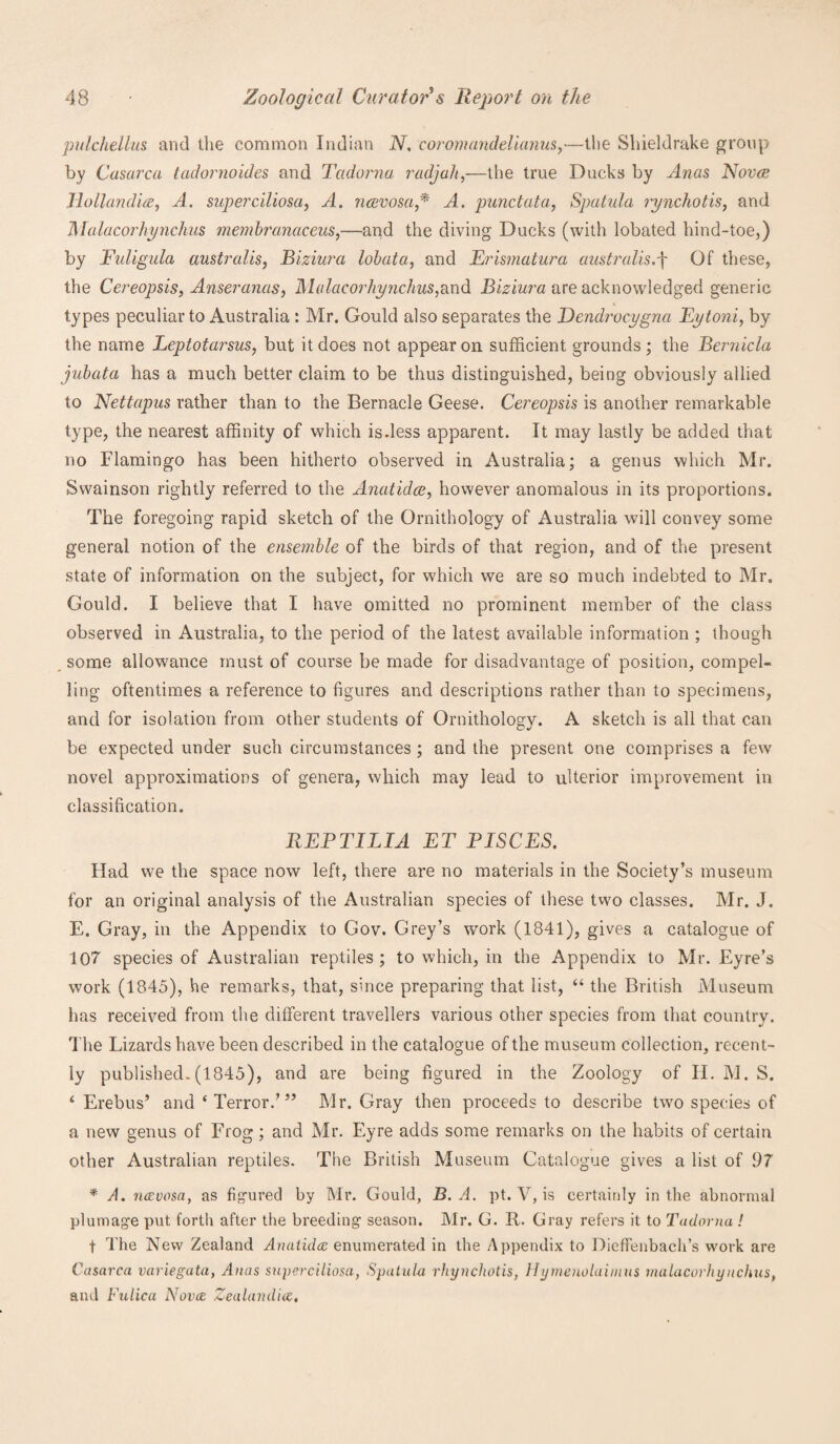 pulchellus and the common Indian N. coromandelianus,—the Shieldrake group by Casarca tadornoides and Tadorna radjah,—the true Ducks by Anas Novas Jlollandice, A. superciliosa, A. ncevosa,* A. punctata, Spatula rynchotis, and Malacorhynchus membranciceus,—and the diving Ducks (with lobated hind-toe,) by Fuligula australis, Biziurci lobata, and Erismatura australis A Of these, the Cereopsis, Anseranas, Malacorhynchus,and Biziura are acknowledged generic types peculiar to Australia : Mr. Gould also separates the Dendrocygna Eytoni, by the name Leptotarsus, but it does not appear on sufficient grounds; the Bernicla jubata has a much better claim to be thus distinguished, being obviously allied to Nettapus rather than to the Bernacle Geese. Cereopsis is another remarkable type, the nearest affinity of which is.less apparent. It may lastly be added that no Flamingo has been hitherto observed in Australia; a genus which Mr. Swainson rightly referred to the Anatidce, however anomalous in its proportions. The foregoing rapid sketch of the Ornithology of Australia will convey some general notion of the ensemble of the birds of that region, and of the present state of information on the subject, for which we are so much indebted to Mr. Gould. I believe that I have omitted no prominent member of the class observed in Australia, to the period of the latest available information ; though some allowance must of course be made for disadvantage of position, compel¬ ling oftentimes a reference to figures and descriptions rather than to specimens, and for isolation from other students of Ornithology. A sketch is all that can be expected under such circumstances; and the present one comprises a few' novel approximations of genera, which may lead to ulterior improvement in classification. REPTILIA ET PISCES. Had we the space now left, there are no materials in the Society’s museum for an original analysis of the Australian species of these two classes. Mr. J. E. Gray, in the Appendix to Gov. Grey’s work (1841), gives a catalogue of 107 species of Australian reptiles; to which, in the Appendix to Mr. Eyre’s work (1845), he remarks, that, since preparing that list, “ the British Museum has received from the different travellers various other species from that country. The Lizards have been described in the catalogue of the museum collection, recent¬ ly published.(1845), and are being figured in the Zoology of H. M. S. 4 Erebus’ and ‘Terror.’” Mr. Gray then proceeds to describe two species of a new genus of Frog; and Mr. Eyre adds some remarks on the habits of certain other Australian reptiles. The British Museum Catalogue gives a list of 97 * A. ncevosa, as figured by Mr. Gould, B. A. pt. V, is certainly in the abnormal plumage put forth after the breeding season. Mr. G. R. Gray refers it to Tadorna ! t The New Zealand Anatidce enumerated in the Appendix to Dieffenbach’s work are Casarca variegata, Anas superciliosa, Spatula rhynchotis, Hymenolaiinus malacorhynchus, and Fulica Novcc Zealandicz.