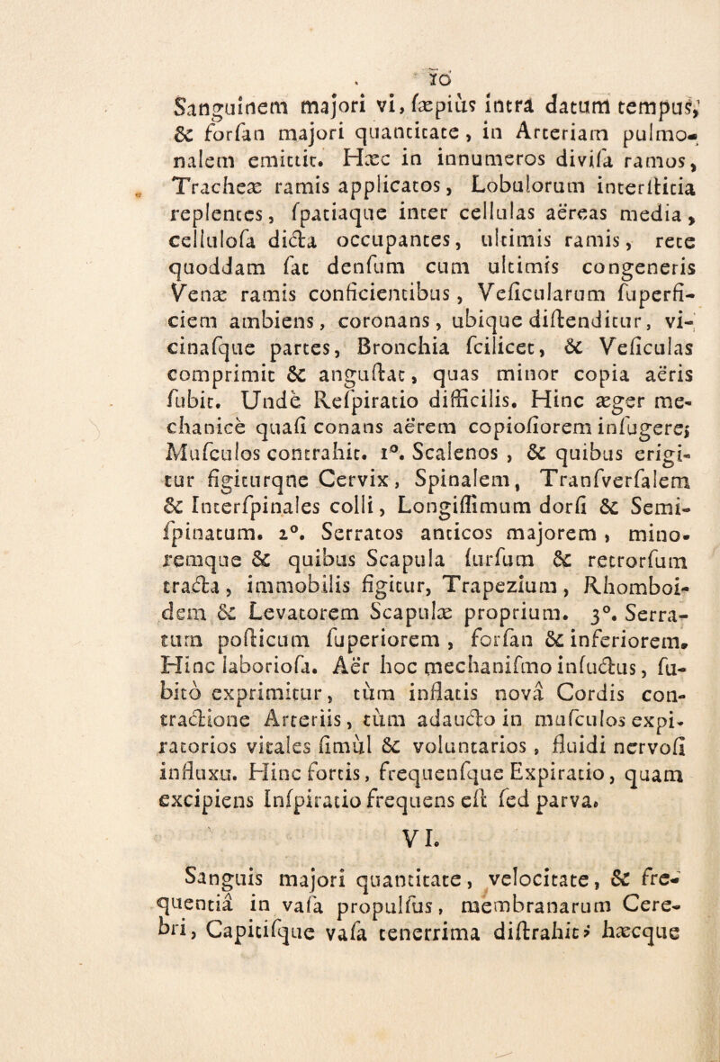 Sanguinem majori vi,fxpius intra datum tempus; 3c forfan majori quantitate, in Arteriam pulmo¬ nalem emictic. Hxc in innumeros divifa ramos, Trachex ramis applicatos, Lobulorum inter Aitia replentes, fpatiaque inter cellulas aereas media, cellulofa dida occupantes, ultimis ramis, rete quoddam fac denfum cum ultimis congeneris Venx ramis conficientibus, Veficularum fuperfi- ciem ambiens, coronans, ubique diftenditur, vi- cinafque partes, Bronchia fcilicec, dc Veficulas comprimit & anguftac, quas minor copia aeris fubit. Unde Refpiratio difficilis. Hinc xger me¬ chanice quafi conans aerem copiofiorem in lugere,' Mufculos contrahit. i°. Scalenos , quibus erigi- tur figicurqne Cervix, Spinalem, Tranfverfalem 8c Incerfpinaies colli, Longiffimum dorfi &c Semi- fpinatum. 20. Serratos anticos majorem, mino- remque quibus Scapula {uiTum & retrarium trada, immobilis figitur, Trapezium, Rhomboi- de 111 Se Levatorem Scapulx proprium. 30. Serra¬ tum pollicum fuperiorem , forfan Sc inferiorem. Hinc iaboriofa. Aer hoc mechanifmo infudus, fu- bito exprimitur, tum inflatis nova Cordis con- tradione Arteriis, tum adaudo in mufculos expi- ratarias vitales fimul Sc voluntarios s fluidi nervofl influxu. Hinc fortis, frequenfque Expiracio, quam excipiens Infpiraiio frequens eft fed parva* VI. Sanguis majori quantitate, velocitate, & fre¬ quentia in vafia propulfus, membranarum Cere¬ bri, Capicifque vafa tenerrima diftrahic? hxcque
