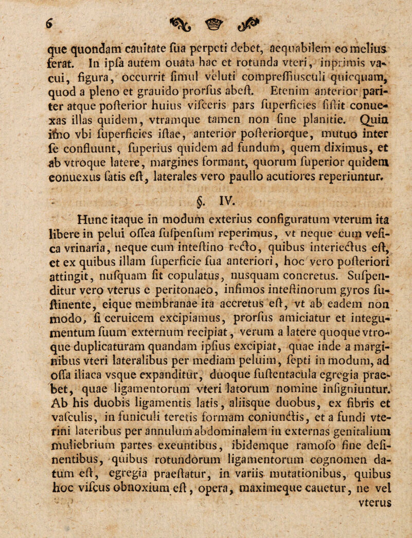 que quondam cauitate fua perpeti debet, aequabilem eo melius ferat. In ipfa autem ouata hae et rotunda vteri, inprimis va¬ cui, figura, occurrit fimul veluti comprefTiusculi quicqiuam, quod a pleno et grauido prorfius abeft. Etenim anterior pari¬ ter atque pofterior huius vifceris pars fuperfiaes fiftit-conue* xas illas quidem, vtramque tamen non fine planitie. Quia iAio vbi fuperficies iftae, anterior pofteriorque, mutuo inter fe confluunt, fuperius quidem ad fundum, quem diximus, et ab vtroque latere, margines formant, quorum fuperior quidem eonuexus fatis eft, laterales vero paullo acutiores reperiuntur, §. IV. Hunc itaque in modum exterius configuratum vterum ita libere in pelui offea fufpenfum reperimus, vt neque cum vefi- ca vrinaria, neque cum inteftino reflo, quibus interieflus eft, et ex quibus illam fuperficie fua anteriori, hoc vero pofteriori attingit, nufquam fit copulatus, nusquam concretus. Sufpen- ditur vero vterus e peritonaeo, infimos inteftinorum gyros fu- ftinente, eique membranae ita accretus eft, vt ab eadem non modo, fi ceruicem excipiamus, prorfus amiciatur et integu¬ mentum fuum externum recipiat, verum a latere quoque vtro¬ que duplicaturam quandam ipfius excipiat, quae inde a margi¬ nibus vteri lateralibus per mediam peluim, fepti in modum, ad offa iliaca vsque expanditur, duoque fuftentacula egregia prae* bet, quae ligamentorum vteri latorum nomine infigniuntur. Ab his duobis ligamentis latis, aliisque duobus, ex fibris et vafculis, in funiculi teretis formam coniunflis, et a fundi vte- rini lateribus per annulum abdominalem in externas genitalium muliebrium partes exeuntibus, ibidemque ramofo fine deli¬ nentibus, quibus rotundorum ligamentorum cognomen da¬ tum eft, egregia praeftatur, in variis mutationibus, quibus hoc vifcus obnoxium eft, opera, maximequecauetur, ne vel r vterus