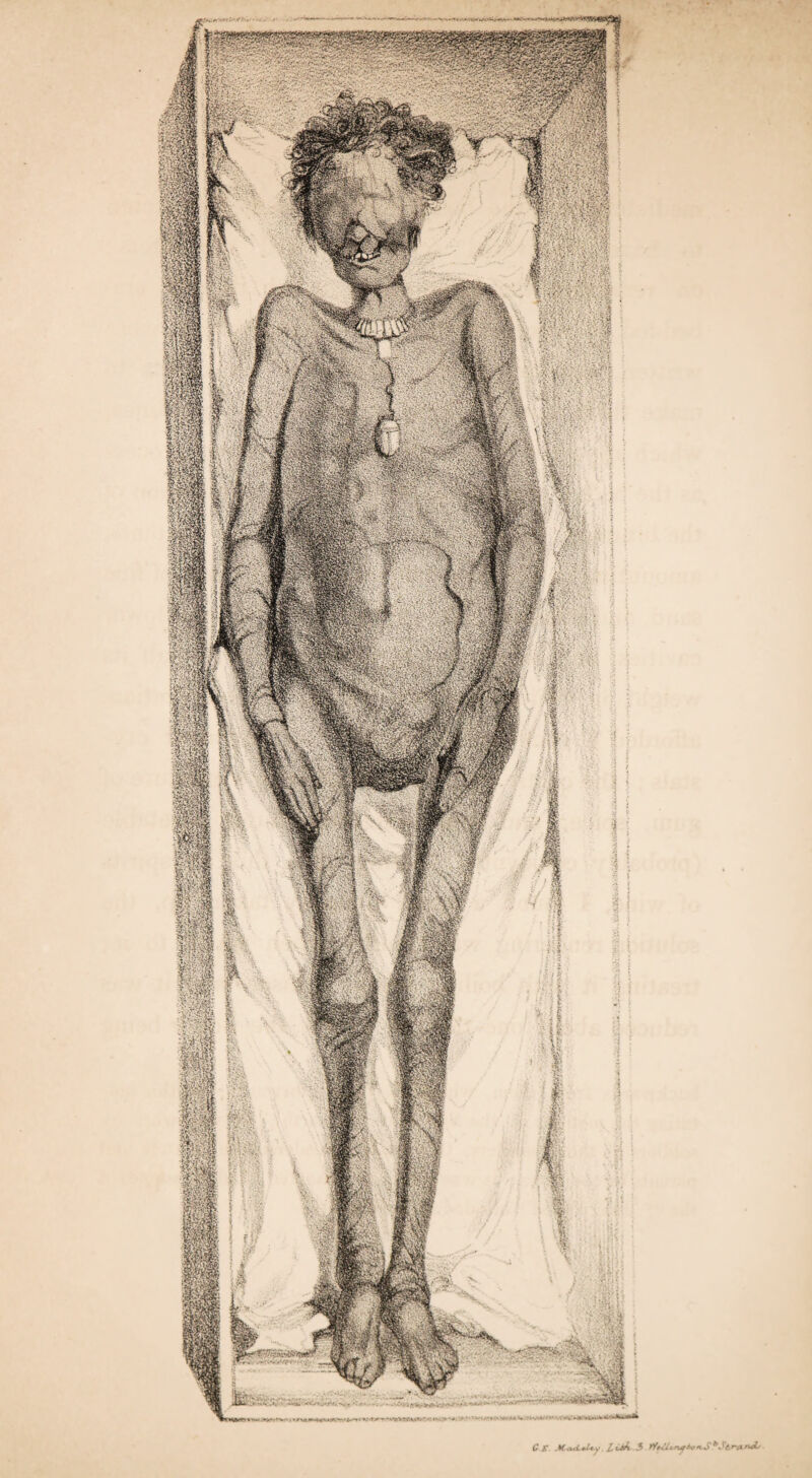 £ £* M<i<LmLt,y. L c>4 3 yYe</*yufAcf^SbStr'(truL