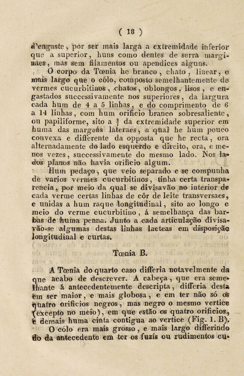 ( ™ ) ePengasíe , pôr ser mais larga a extremidade inferior que a superior, Inms como dentes de serra margi- náes j más sem filamentos ou apendices alguns. Õ corpo da Toenia he branco , chato, linear, e niais largo que o colo, composto semelhantefneiite de vermes ciicurbitinos , chatos, oblongos, lisos, e en¬ gastados successivamente nos superiores , da largura cada hum de 4 a 5 linhas , e do comprimento de 6 a 14 linhas, com hum orifício branco sobresaliente, ou papiliforme, sito a f da extremidade superior em huma das margens lateraes, a qual he hum pouco convexa e difterente da opposta que he recta , ora alternadamente do lado esquerdo e direito, ora, e me¬ nos vezes, successivamente do mesmo lado. Nos la» dos planos não havia orifício algum. Hum pedaço, que veio separado e se compunha de vários vermes cueurbitinos, tinha certa transpa¬ rência , por meio da qual se divisavão no interior de cada verme certas linhas de cor deleite transversaes, e unidas a hum raque longitudinal, sito ao longo e meio do verme cucurbitino , á semelhança das bar¬ bas de hum a penna. Junto a cada articulação divisa- yão-se algumas destas linhas laeteas em disposição longitudinal e curtas. ( ■' *■’ ' i' : ■ • Toenia B. A Toenia do quarto caso differia notavelmente da que acabo de descrever. A cabeça , que era semo Ihante à antecedentemente descripta, difíferia desta fem ser maior, e mais globosa , e em ter não só ds quatro orifícios negros, mas negro o mesmo yertice ^èxcepto no meio), em que estão os quatro orifícios^ % demais huma cinta contígua ao vertice (Fig. l.B). O cólo era mais grosso , e mais largo diiFerindo da antecedente em ter os fuzis ou rudimentos cu*