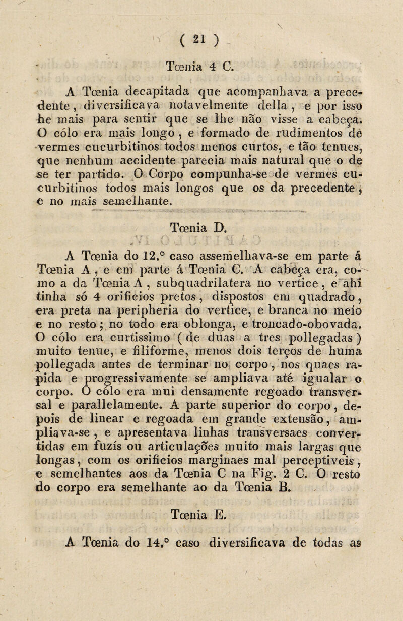 Toenia 4 C. A Toenia decapitada que acompanhava a prece¬ dente , diversificava notavelmente delia, e por isso he mais para sentir que se lhe não visse a cabeça. O colo era mais longo , e formado de rudimentos de vermes cueurbitinos todos menos curtos, e tão tenues, que nenhum accidente parecia mais natural que o de se ter partido. O Corpo compunha-se de vermes cu- curbitinos todos mais longos que os da precedente , e no mais semelhante. Toenia D. . ^ í . t 'V * -T i‘V ‘ TT í’*' * < A Toenia do 12.° caso assemelhava-se em parte á Toenia A , e em parte á Toenia C. A cabeça era, co-^ mo a da Toenia A , subquadrilatera no vertice, e ahi tinha só 4 orifícios pretos, dispostos em quadrado, era preta na peripheria do vertice, e branca no meio e no resto 5 no todo era oblonga, e troncado-obovada. O colo era curtissimo ( de duas a tres pollegadas) muito temie, e filiforme, menos dois terços de huma pollegada antes de terminar no corpo , nos quaes ra- pida e progressivamente se ampliava até igualar o corpo. O colo era mui densamente regoado transver¬ sal e parallelamente. A parte superior do corpo, de¬ pois de linear e regoada em grande extensão, am¬ pliava-se , e apresentava linhas transversaes conver¬ tidas em fuzis ou articulações muito mais largas que longas, com os orifícios marginaes mal perceptiveis, e semelhantes aos da Toenia C na Fig. 2 C. O resto do corpo era semelhante ao da Toenia B. Toenia E. A Toenia do 14.° caso diversificava de todas as