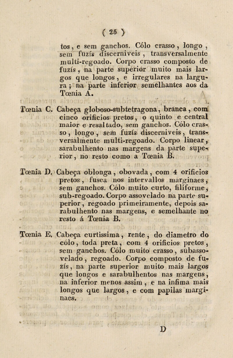 r ( > tos, e sem ganchos, Cólo crasso , longo , sem fuzis discerniveis , transversalmente multi-regoado. Corpo crasso composto de fuzis , na parte superior muito mais lar¬ gos que longos , e irregulares na largu¬ ra ; na parte inferior semelhantes aos da Toenia A. - ; r- i ‘ *' .y • • ■ ) • . . . • u Tcenia C. Cabeça globoso-subtetragona, branca, com; cinco orifícios pretos, o quinto e central maior e resaltado, sem ganchos. Cólo cras¬ so , longo , sem fuzis discerniveis, trans¬ versalmente multi-regoado. Corpo linear, sarabulhento nas margens da parte supe-v rior, no resto como a Toenia B. Toenia D. Cabeça oblonga, obovada, com 4 orifícios pretos , fusca nos intervallos margina es, sem ganchos. Cólo muito curto, filiforme, sub-regoado. Corpo assovelado na parte su¬ perior, regoado primeiramente, depois sa¬ rabulhento nas margens, e semelhante no resto á Toenia B. Toenia E. Cabeça curtíssima, rente, do diâmetro do cólo, toda preta, com 4 orifícios pretos 3 sem ganchos. Cólo muito crasso, subasso- velado, regoado. Corpo composto de fu¬ zis , na parte superior muito mais largos que longos e sarabulhentos nas margens, na inferior menos assim , e na infima mais longos que largos, e com papilas margi- naes. i D