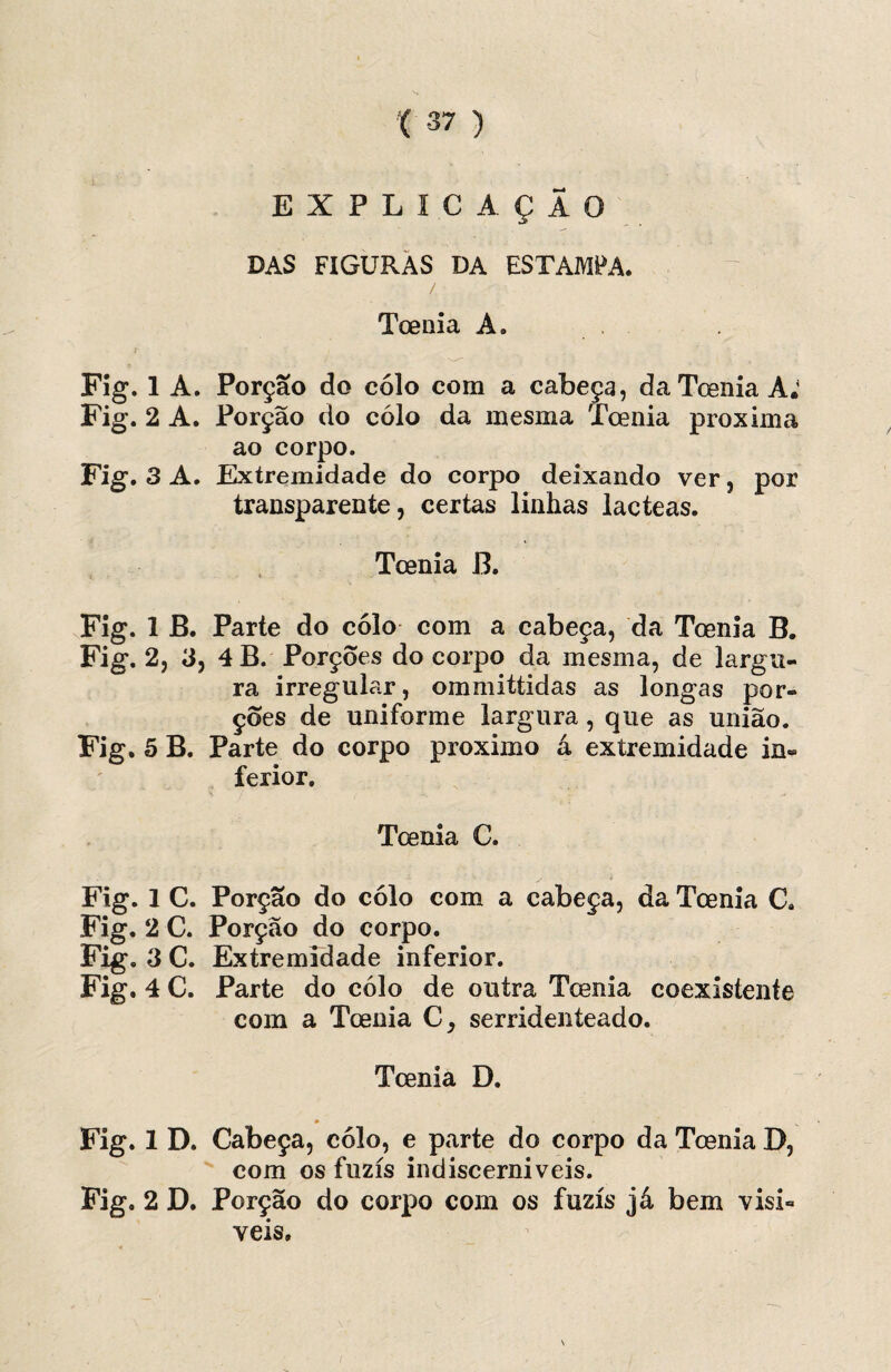 EXPLICAÇÃO DAS FIGURAS DA ESTAMFA. Toenia A. r Fíg. 1 A. Porção do colo com a cabeça, da Toenia A; Fig. 2 A. Porção do cólo da mesma Toenia próxima ao corpo. Fig. 3 A. Extremidade do corpo deixando ver, por transparente, certas linhas lacteas. Tcenia B. Fig. 1JB. Parte do cólo com a cabeça, da Toenia B. Fig. 2, 3, 4 B. Porções do corpo da mesma, de largu¬ ra irregular, ommittidas as longas por¬ ções de uniforme largura, que as união. Fig. 5 B. Parte do corpo proximo á extremidade in¬ ferior. Toenia C. Fig. 1 C. Porção do cólo com a cabeça, da Toenia C. Fig. 2 C. Porção do corpo. Fig. 3 C. Extremidade inferior. Fig. 4 C. Parte do cólo de outra Toenia coexistente com a Toenia C, serridenteado. Toenia D. Fig. 1 D. Cabeça, cólo, e parte do corpo da Toenia D, com os fuzis indiscerniveis. Fig, 2 D. Porção do corpo com os fuzis já bem visí¬ veis.
