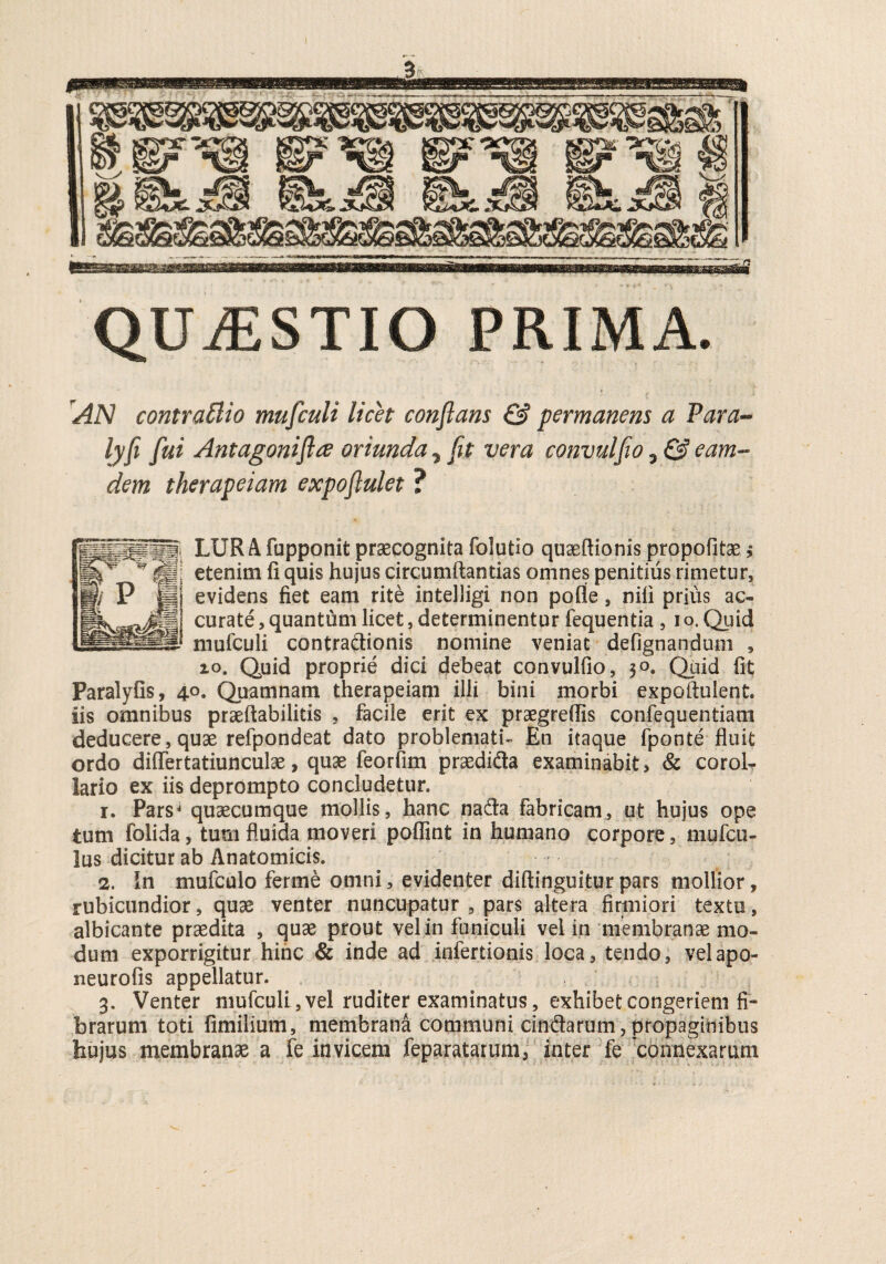 QUiESTIO PRIMA. 'AN contrattio mufculi licet conflans & permanens a Vara- Ijfi fui Antagoniflce oriunda, fit vera convulfo, & eam- dem therapeiam expofiulet ? . -— — - fi i LJ I IX r-' v ^ |jj; etenim fi quis hujus circumftantias omnes penitius rimetur, P fji evidens fiet eam rite intelligi non pofle, nifi prius ac- nB\ _-_r— _i.* r\. • 3 ii LUR A fupponit praecognita folutio quaeftionis propofitae j 3 \ • e“% m * ® • o • • / • curate, quantum licet, determinentur fequentia , i o. Quid mufculi contra&ionis nomine veniat defignandum , zo. Quid proprie dici debeat convulfio, 30. Quid fit Paralyfis, 40. Quamnam therapeiam illi bini morbi expoftulent. iis omnibus praeftabilitis , facile erit ex praegreflis confequentiam deducere, quae refpondeat dato problemati- En itaque fponte fluit ordo diflertatiunculae, quae feorfim praedidta examinabit, & corol¬ lario ex iis deprompto concludetur. r. Parsj quaecumque mollis, hanc nada fabricam, ut hujus ope tum folida, tum fluida moveri poflint in humano corpore, mufcu- lus dicitur ab Anatomicis. In mufculo ferme omni, evidenter diftinguitur pars mollior, 2. —- - - - o r -* rubicundior, quae venter nuncupatur , pars altera firmiori textu, albicante praedita , quae prout vel in funiculi vel in membranae mo¬ dum exporrigitur hinc & inde ad infertionis loca, tendo, velapo- neurofis appellatur. 3. Venter mufculi, vel ruditer examinatus, exhibet congeriem fi¬ brarum toti fimilium, membrana communi cindarum, propaginibus hujus membranae a fe invicem feparatarum, inter fe connexarum