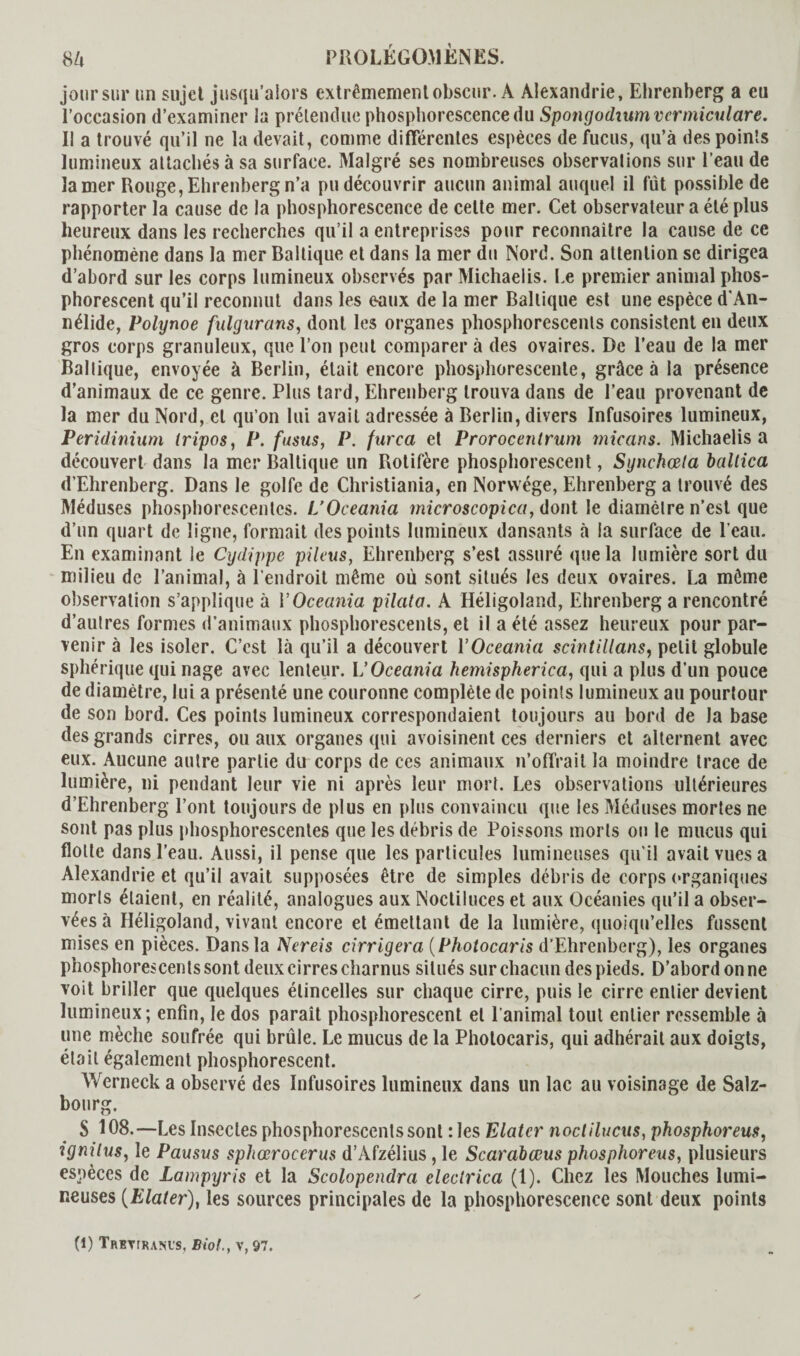 jour sur un sujet jusqu’alors extrêmement obscur. A Alexandrie, Ehrenberg a eu l’occasion d’examiner la prétendue phosphorescence du Spongodiumvcrmiculare. Il a trouvé qu’il ne la devait, comme différentes espèces de fucus, qu’à des points lumineux attachés à sa surface. Malgré ses nombreuses observations sur l’eau de la mer Rouge, Ehrenberg n’a pu découvrir aucun animal auquel il fût possible de rapporter la cause de la phosphorescence de celte mer. Cet observateur a été plus heureux dans les recherches qu’il a entreprises pour reconnaître la cause de ce phénomène dans la mer Baltique et dans la mer du Nord. Son attention se dirigea d’abord sur les corps lumineux observés par Michaelis. Le premier animal phos¬ phorescent qu’il reconnut dans les e-aux de la mer Baltique est une espèce d'An- nélide, Polynoe fulgurans, dont les organes phosphorescents consistent en deux gros corps granuleux, que l’on peut comparer à des ovaires. De l’eau de la mer Baltique, envoyée à Berlin, était encore phosphorescente, grâce à la présence d’animaux de ce genre. Plus tard, Ehrenberg trouva dans de l’eau provenant de la mer du Nord, et qu’on lui avait adressée à Berlin, divers Infusoires lumineux, Peridinium tripos, P. fusas, P. furca et Prorocentrum micans. Michaelis a découvert dans la mer Baltique un Rolifère phosphorescent, Synchœla baltica d’Ehrenberg. Dans le golfe de Christiania, en Norwége, Ehrenberg a trouvé des Méduses phosphorescentes. L’Oceania microscopica, dont le diamètre n’est que d’un quart de ligne, formait des points lumineux dansants à la surface de l’eau. En examinant le Cydippe pileus, Ehrenberg s’est assuré que la lumière sort du milieu de l’animal, à l’endroit même où sont situés les deux ovaires. La même observation s’applique à YOceania pilata. A Héligoland, Ehrenberg a rencontré d’autres formes d’animaux phosphorescents, et il a été assez heureux pour par¬ venir à les isoler. C’est là qu’il a découvert YOceania scintillans, petit globule sphérique qui nage avec lenteur. L'Oceania hemispherica, qui a plus d’un pouce de diamètre, lui a présenté une couronne complète de points lumineux au pourtour de son bord. Ces points lumineux correspondaient toujours au bord de la base des grands cirres, ou aux organes qui avoisinent ces derniers et alternent avec eux. Aucune autre partie du corps de ces animaux n’offrait la moindre trace de lumière, ni pendant leur vie ni après leur mort. Les observations ultérieures d’Ehrenberg l’ont toujours de plus en plus convaincu que les Méduses mortes ne sont pas plus phosphorescentes que les débris de Poissons morts on le mucus qui flotte dans l’eau. Aussi, il pense que les particules lumineuses qu’il avait vues a Alexandrie et qu’il avait supposées être de simples débris de corps organiques morts étaient, en réalité, analogues aux Noctiluces et aux Océanies qu’il a obser¬ vées à Héligoland, vivant encore et émettant de la lumière, quoiqu’elles fussent mises en pièces. Dans la Nereis corrigera ( Photocaris d’Ehrenberg), les organes phosphorescents sont deux cirres charnus situés sur chacun des pieds. D’abord on ne voit briller que quelques étincelles sur chaque cirre, puis le cirre entier devient lumineux ; enfin, le dos paraît phosphorescent et l’animal tout entier ressemble à une mèche soufrée qui brûle. Le mucus de la Photocaris, qui adhérait aux doigts, était également phosphorescent. Werneck a observé des Infusoires lumineux dans un lac au voisinage de Salz- bourg. S 108.—Les Insectes phosphorescents sont : les Elatcr noctilucus, phosphoreus, igmlus, le Pausas sphœrocerus d’Afzélius, le Scarabœus phosphoreus, plusieurs espèces de Lampyris et la Scolopendra electrica (1). Chez les Mouches lumi¬ neuses (Elater), les sources principales de la phosphorescence sont deux points (1) TREVtRAM’S. Biol., V, 97.