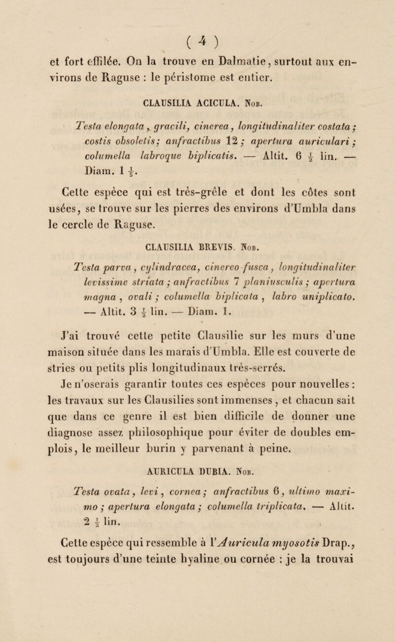 et fort effilée. On la trouve en Dalmatie, surtout aux en¬ virons de Raguse : le péristome est entier. CLA1JSILIA ACICULA. Nob. Testa elongata > gracili, cinerea, longitudinaliter costata ; costis obsoletisj anfractibus 12; apertura auriculari ; columella labroque biplicatis. — Àltit. 6 £ lin. — Diam. 1 Celte espèce qui est très-grêle et dont les côtes sont usées, se trouve sur les pierres des environs d’Umbla dans le cercle de Raguse. CLAUSILIA BREVIS. Nob. Testa parva, cylindracca, cinereo fasca , longitudinaliter levissime striata ; an fractibus 7 planiusculis ; apertura magna , ovali ; columella biplicata , labro uniplicato. — Altit. 3 \ lin. — Diam. 1. • J’ai trouvé cette petite Clausilie sur les murs d’une maison située dans les marais d’Umbla. Elle est couverte de stries ou petits plis longitudinaux très-serrés. Je n’oserais garantir toutes ces espèces pour nouvelles : les travaux sur les Clausilies sont immenses, et chacun sait que dans ce genre il est bien difficile de donner une diagnose assez philosophique pour éviter de doubles em¬ plois , le meilleur burin y parvenant à peine. AURICULA DUBIA. Nob. Testa ovata, levi, cornca ; anfractibus 6, ultimo maxi- ?no ; apertura elongata ; columella triplicata, — Altit. 2 £ lin. Cette espèce qui ressemble à Y^diiricula myosotis Drap., est toujours d’une teinte hyaline ou cornée : je la trouvai