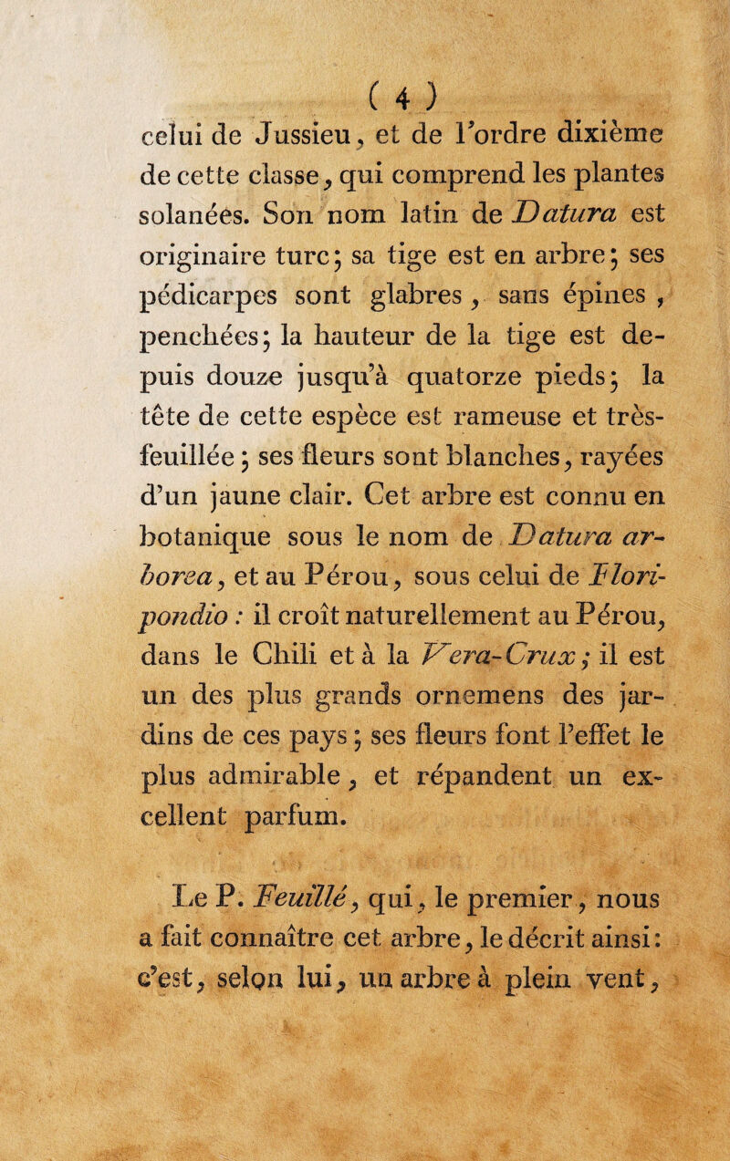 celui de Jussieu, et de Tordre dixième de cette classe, qui comprend les plantes solanées. Son nom latin deDatura est oxnginaire turc; sa tige est en ai-bre; ses pédicarpes sont glabres, sans épines , penchées; la hauteur de la tige est de¬ puis douze jusqu’à quatorze pieds; la tête de cette espèce est rameuse et très- feuillée ; ses fleurs sont blanches, rayées d’un jaune clair. Cet ai-bre est connu en botanique sous le nom de Datura ar- horea, et au Pérou, sous celui de Ilori- pondio : il croît naturellement au Pérou, dans le Chili et à la Vera-Crux ; il est un des plus grands ornemens des jar¬ dins de ces pays ; ses fleurs font l’effet le plus admirable, et répandent un ex¬ cellent parfum. Le P. Feuille, qui, le premier, nous a fait connaître cet arbre, ledéciût ainsi: c'est, selon lui, un arbre à plein vent.