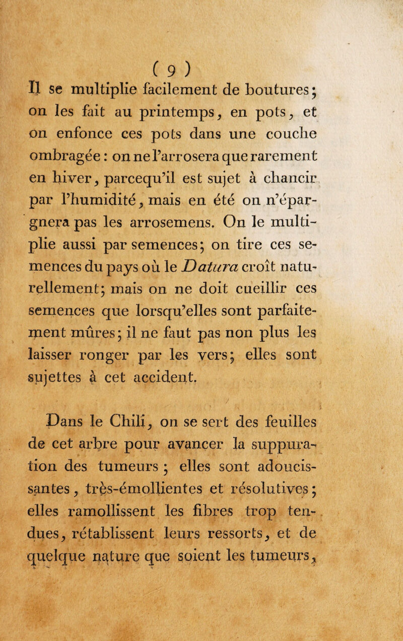 Il se multiplie facilement de boutures ; on les fait au printemps, en pots., et on enfonce ces pots dans une couche ombragée : on ne l’arrosera que rarement en hiver,, parcequ’il est sujet à chancir par l’hurnidité ^ mais en été on n’épar¬ gnera pas les arrosemens. On le multi¬ plie aussi par semences; on tire ces se¬ mences du pays où le Dattira croît natu¬ rellement; mais on ne doit cueillir ces semences que lorsqu’elles sont parfaite¬ ment mûres; il ne faut pas non plus les laisser ronger par les vers; elles sont sujettes à cet accident. Dans le Chili^ on se sert des feuilles de cet arbre pour avancer la suppura¬ tion des tumeurs ; elles sont adoucis¬ santes , très-émollientes et résolutives ; elles ramollissent les fibres trop ten¬ dues y rétablissent leurs ressorts j et de quelque nature que soient les tuxneurs^