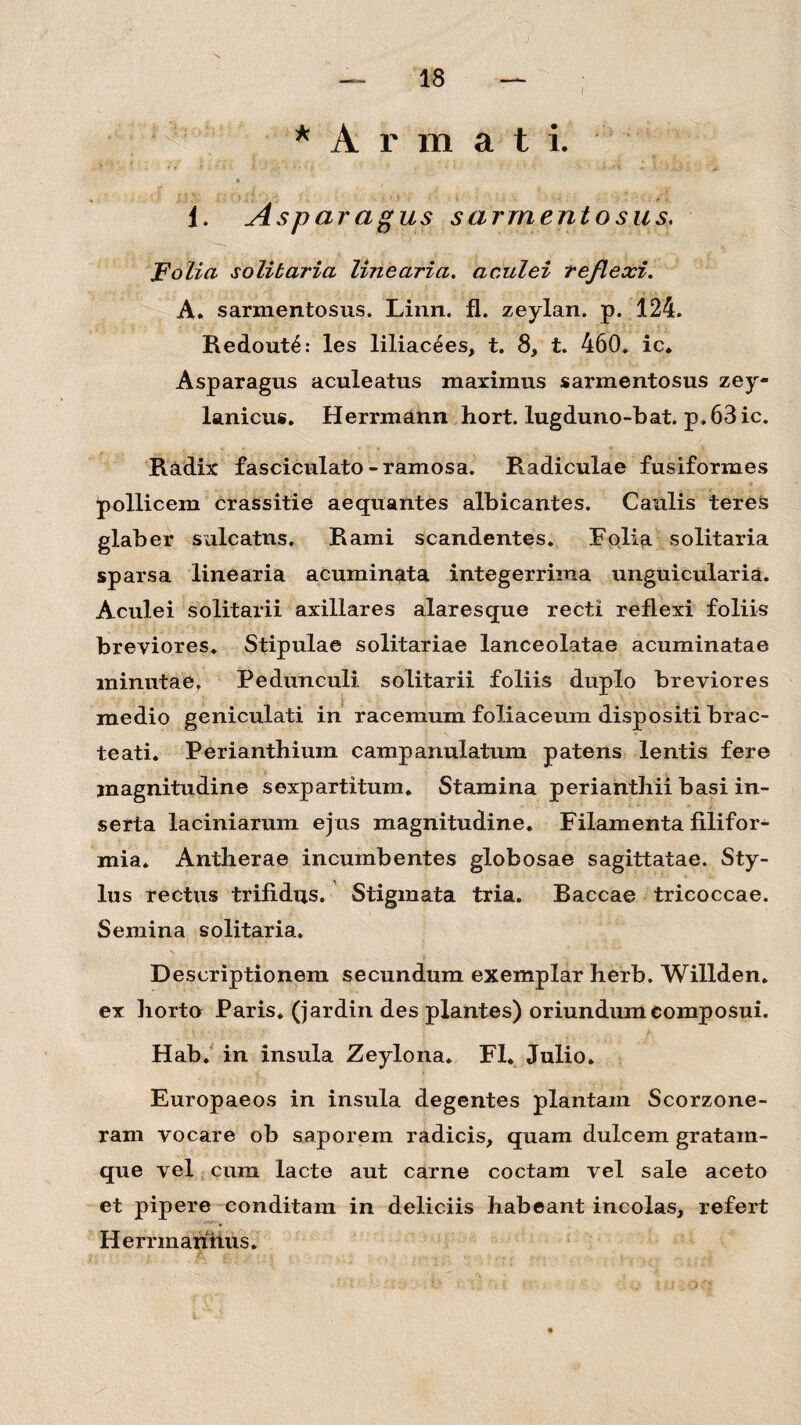 * A r m a t i. « i. Asparagus sarmentosus. Folia solitaria linearia, aculei reflexi. A. sarmentosus. Linn. fl. zeylan. p. 124. Redout£: les liliac^es, t. 8, t. 460. ic. Asparagus aculeatus maximus sarmentosus zey- lanicus. Herrmann hort. lugduno-bat. p.63ic. Radix fasciculato-ramosa. R.adiculae fusiformes pollicem crassitie aequantes albicantes. Caulis teres glaber sulcatus. Rami scandentes. Folia solitaria sparsa linearia acuminata integerrima unguicularia. Aculei solitarii axillares alaresque recti reflexi foliis breviores. Stipulae solitariae lanceolatae acuminatae minutae. Pedunculi solitarii foliis duplo breviores medio geniculati in racemum foliaceum dispositi brac¬ teati. Perianthium c am p anulatum patens lentis fere magnitudine sexpartitum. Stamina perianthii basi in¬ serta laciniarum ejus magnitudine. Filamenta filifor¬ mia* Antherae incumbentes globosae sagittatae. Sty¬ lus rectus trifidus. Stigmata tria. Baccae tricoccae. Semina solitaria. Descriptionem secundum exemplar herb. Willden. ex horto Paris, (jardin des plantes) oriundum composui. Hab. in insula Zeylona. Fl. Julio. Europaeos in insula degentes plantam Scorzone- ram vocare ob saporem radicis, quam dulcem gratain- que vel cum lacte aut carne coctam vel sale aceto et pipere conditam in deliciis habeant incolas, refert II errm antius.