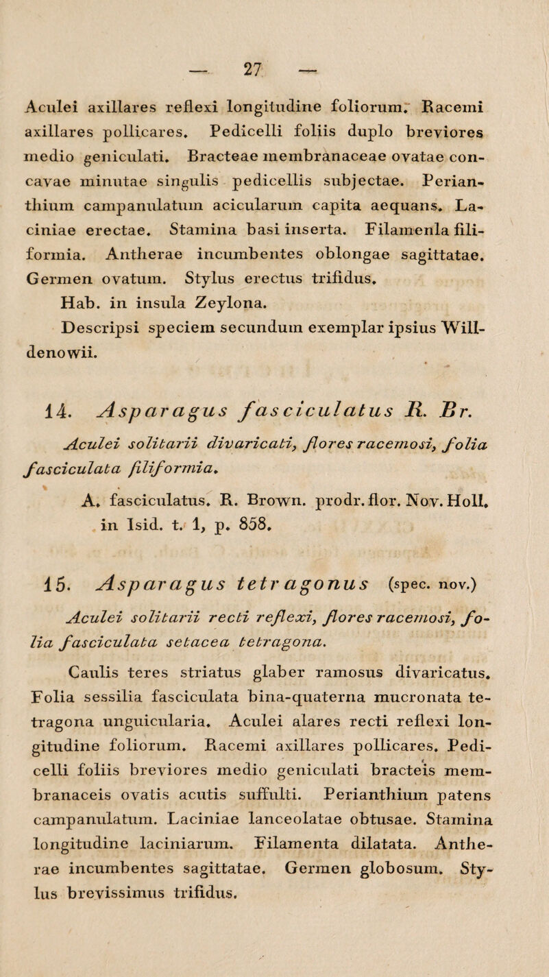Aculei axillares reflexi longitudine foliorum. Racemi axillares pollicares. Pedicelli foliis duplo breviores medio geniculati. Bracteae membranaceae ovatae con¬ cavae minutae singulis pedicellis subjectae. Perian- thium campanulatum acicularum capita aequans. La¬ ciniae erectae. Stamina basi inserta. Filainenla fili¬ formia. Antlierae incumbentes oblongae sagittatae. Germen ovatum. Stylus erectus trifidus. Hab. in insula Zeylona. Descripsi speciem secundum exemplar ipsius Will- denowii. 14. Asp ar a gus fas ciculatus 11. Br. st cui ei solitarii divaricati, flores racemosi, folia fasciculata filiformia. % A» fasciculatus. R. Brown. prodr. flor. Nov. Holi* in Isid. t. 1, p. 858. 15. Asparagus tetragonus (spec. nov.) Aculei solitarii recti reflexi, flores racemosi, fo¬ lia fasciculata setacea tetragona. Caulis teres striatus glaber ramosus divaricatus. Folia sessilia fasciculata bina-quaterna mucronata te¬ tragona unguicularia. Aculei alares recti reflexi lon¬ gitudine foliorum. Racemi axillares pollicares. Pedi¬ celli foliis breviores medio geniculati bracteis mem¬ branaceis ovatis acutis suffulti. Perianthium patens campanulatuin. Laciniae lanceolatae obtusae. Stamina longitudine laciniarum. Filamenta dilatata. Antiie- rae incumbentes sagittatae. Germen globosum. Sty¬ lus brevissimus trifidus.