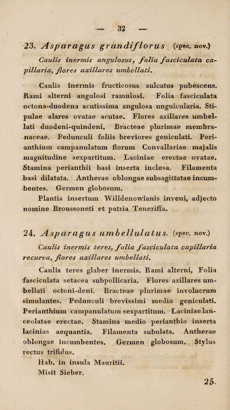 23. Asparagus gr an diflorus (spec. nov.) Caulis inermis angulosus, folia fasciculata ca¬ pillaria, fores axillares umhellati. Caulis inermis fructicosus sulcatus pubescens. Rami alterni angulosi ramulosi. Folia fasciculata octona-duodena acutissima angulosa unguicularia. Sti¬ pulae alares ovatae acutae. Flores axillares umbel- lati duodeni-quindeni. Bracteae plurimae membra¬ naceae. Pedunculi foliis breviores geniculati. Peri- anthium campanulatum florum Convallariae majalis magnitudine sexpartitum. Laciniae erectae ovatae. Stamina perianthii basi inserta inclusa. Filamenta basi dilatata. Antherae oblongae subsagiitatae incum¬ bentes. Germen globosum. Plantis insertum Willdenowianis inveni, adjecto nomine Broussoneti et patria Teneriffa. 24. A sparagus umh ellulatus. (spec. nov.) Caulis inermis teres, folia fasciculata capillaria recurva, fores axillares umhellati. Caulis teres glaber inermis. Bami alterni, Folia fasciculata setacea subpollicaria. Flores axillares um¬ bellati octoni-deni. Bracteae plurimae involucrum simulantes. Pedunculi brevissimi medio geniculati. Perianthium camp anulatum sexpartitum. Laciniae lan- ceolatae erectae. Stamina medio perianthio inserta lacinias aequantia. Filamenta subulata. Antherae oblongae incumbentes. Germen globosum. Stylus rectus trifidus. Hab. in insula Mauritii. Misit Sieber. 25.