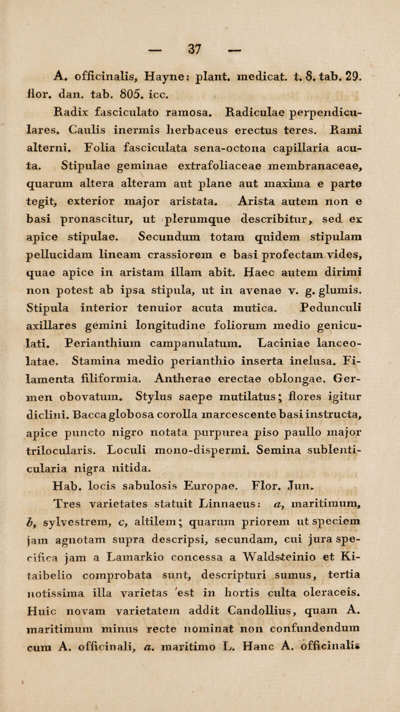 A. officinalis, Hayne; piant, medicat, t. 8. tab. 29. flor. dan. tab. 805. icc. Radix fasciculato ramosa. Radiculae perpendicu¬ lares. Caulis inermis herbaceus erectus teres. Rami alterni. Folia fasciculata sena-octoria capillaria acu¬ ta. Stipulae geminae extrafoliaceae membranaceae, quarum altera alteram aut plane aut maxima e parte tegit, exterior major aristata. Arista autem non e basi pronascitur, ut plerumque describitur, sed ex apice stipulae. Secundum totam quidem stipulam pellucidam lineam crassiorem e basi profectam vides, quae apice in aristam illam abit. Haec autem dirimi non potest ab ipsa stipula, ut in avenae v. g. glumis. Stipula interior tenuior acuta mutica. Pedunculi axillares gemini longitudine foliorum medio genicu¬ lati. Perianthium campanulatum. Laciniae lanceo- latae. Stamina medio perianthio inserta inelusa. Fi¬ lamenta filiformia. Antherae erectae oblongae. Ger¬ men obovatum. Stylus saepe mutilatus; flores igitur diclini. Bacca globosa corolla marcescente basi instructa, apice puncto nigro notata purpurea piso paullo major trilocularis. Loculi mono-dispermi. Semina sublenti¬ cularia nigra nitida. Hab. locis sabulosis Europae. Flor. Jun. Tres varietates statuit Linnaeus: a, maritimum, sylvestrem, c, altilem; quarum priorem ut speciem jam agnotam supra descripsi, secundam, cui jura spe¬ cifica jam a Lamarkio concessa a Waldsieinio et Ki- taibelio comprobata sunt, descripturi sumus, tertia notissima illa varietas 'est in hortis culta oleraceis. Huic novam varietatem addit Candollius, quam A. maritimum minus recte nominat non confundendum cum A. officinali, a. maritimo L. Hanc A. officinalis 1