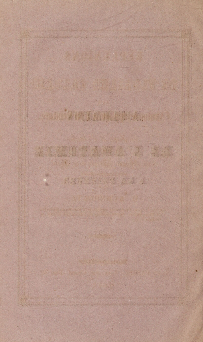 * r r 'i; . -Ì . s • \ * ■ ^ • , 1 . ... i ■: . ... ■ * \ >.