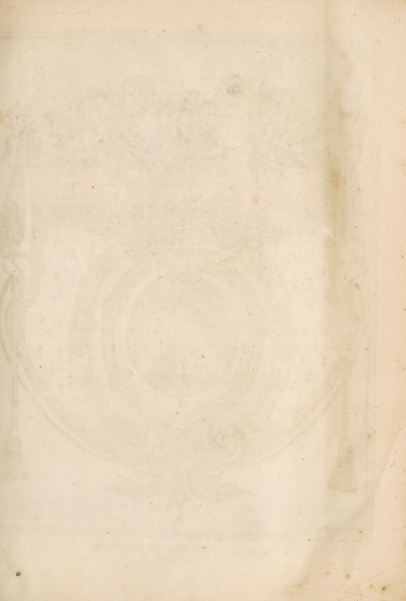 • - •> i a \ * r‘-= - '• t > t . I < - V \ & .1 '