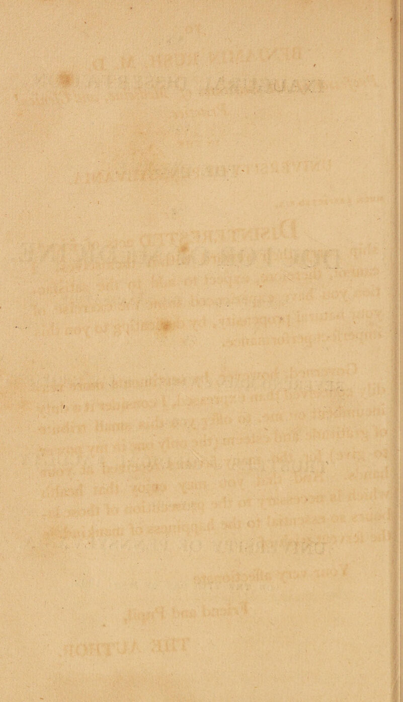 ' il';: Vt- . '  ' •TT if'. ^<*. '■• ' : * , ^ V ■■ ■ P-r L I I i ’*■ ,:■■■ ,i?iK; i. ■ V V--- .' . • ;- r / .' ■'-■s-- ‘ 1 \ 4 ; , \ •• .’ > ‘ ;-4 f ' s , -'• ♦' ^