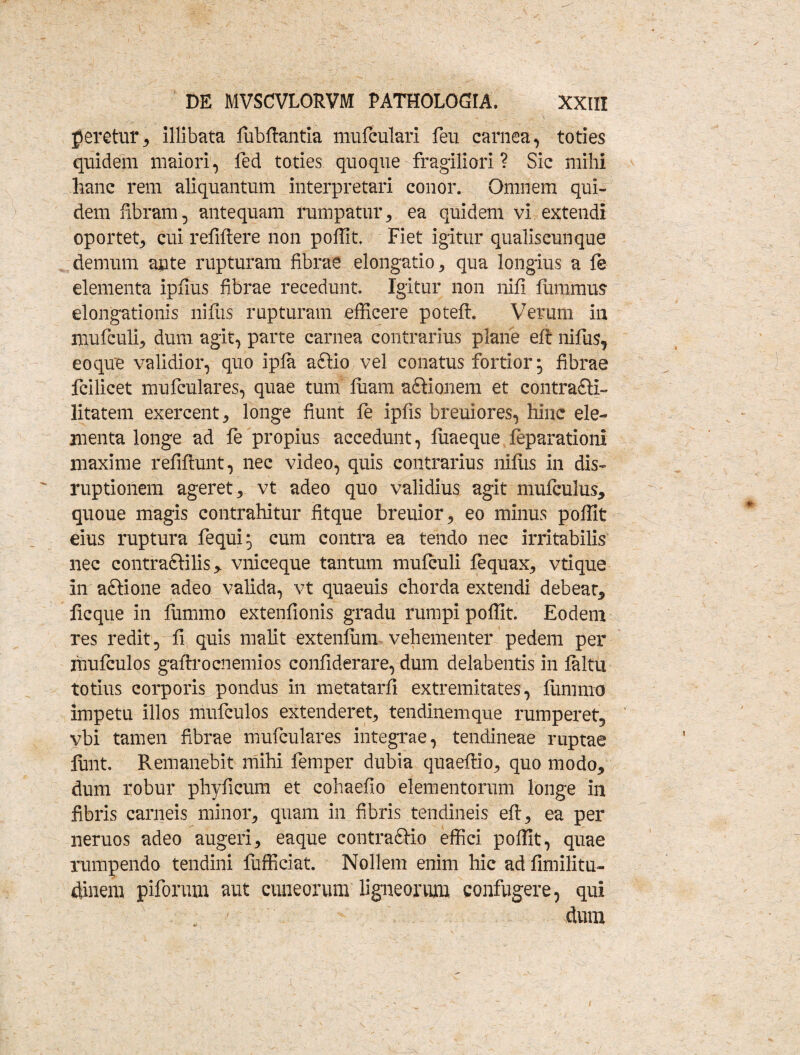geretur, illibata fubftantia mufculari feu carnea, toties quidem maiori, fed toties quoque fragiliori ? Sic mihi hanc rem aliquantum interpretari conor. Omnem qui¬ dem fibram, antequam rumpatur, ea quidem vi extendi oportet, cui refiftere non poffit. Fiet igitur qualiscunque demum ante rupturam fibrae elongatio, qua longius a fe elementa ipfius fibrae recedunt. Igitur non nili fummus elongationis nifiis rupturam efficere poteft. Verum in mufculi, dum agit, parte carnea contrarius plane eft nifus, eoque validior, quo ipfa aftio vel conatus fortior; fibrae fcilicet mufculares, quae tum fuam aftionem et contrafti- litatem exercent, longe fiunt fe ipfis breuiores, hinc ele¬ menta longe ad fe propius accedunt, fuaeque feparationi maxime refiftunt, nec video, quis contrarius nifiis in dis¬ ruptionem ageret, vt adeo quo validius agit mufculus, quoue magis contrahitur fitque breuior, eo minus poffit eius ruptura fequi; cum contra ea tendo nec irritabilis nec contraSlilis > vniceque tantum mufculi fequax, vtique In'aftione adeo valida, vt quaeuis chorda extendi debear, ficque in fummo extenfionis gradu rumpi poffit. Eodem res redit, fi quis malit extenfum vehementer pedem per mufculos gaftrocnemios confiderare, dum delabentis in faltu totius corporis pondus in metatarfi extremitates, fummo impetu illos mufculos extenderet, tendinemque rumperet, vbi tamen fibrae mufculares integrae, tendineae ruptae finit. Remanebit mihi femper dubia quaeffio, quo modo, dum robur phyficum et cohaefio elementorum longe in fibris carneis minor, quam in fibris tendineis eft, ea per neruos adeo augeri, eaque contraSUo effici poffit, quae rumpendo tendini fufficiat. Nollem enim hic ad fimilitu- dinera piforum aut cuneorum ligneorum confugere, qui dum