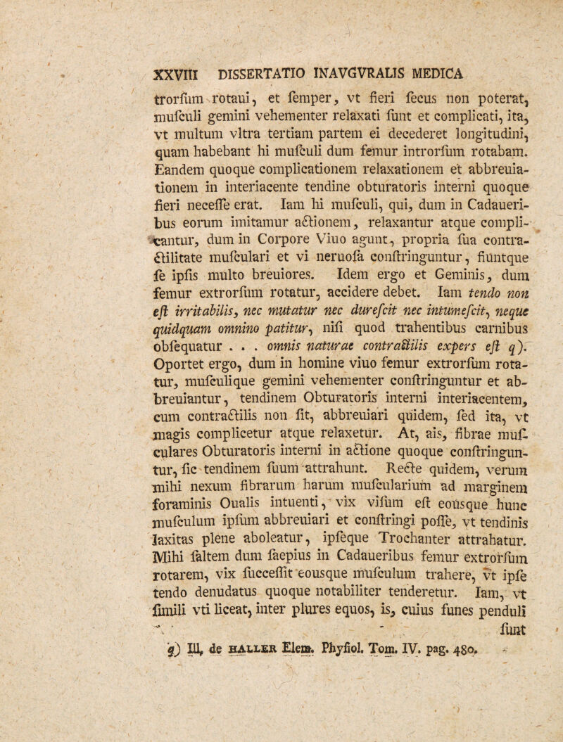 / XXVIII DISSERTATIO INAVGVRALIS MEDICA trorfum rotaui, et femper, vt fieri fecus non poterat, mufculi gemini vehementer relaxati finit et complicati, ita, vt multum vitra tertiam partem ei decederet longitudini, quam habebant hi mufculi dum femur introrfum rotabam. Eandem quoque complicationem relaxationem et abbreuia- tionem in interiacente tendine obturatoris interni quoque fieri necefle erat. Iam hi mufculi, qui, dum in Cadaueri- bus eorum imitamur adtionem, relaxantur atque compli¬ cantur, dum in Corpore Viuo agunt, propria fua contra- £tilitate mufculari et vi neruofa conftringuntur, fiuntque fe ipfis multo breuiores. Idem ergo et Geminis, dum femur extrorfum rotatur, accidere debet. Iam tendo non efl irritabilis, nec mutatur nec durefcit nec intumefcit, neque quidquam omnino patitur, nifi quod trahentibus carnibus obfequatur . . . omnis naturae contraUilis expers efl q )f Oportet ergo, dum in homine viuo femur extrorfum rota¬ tur, mufculique gemini vehementer confringuntur et ab- breuiantur, tendinem Obturatoris interni interiaeentem, cum contra&ilis non fit, abbreuiari quidem, fed ita, vt magis complicetur atque relaxetur. At, ais, fibrae mu£ culares Obturatoris interni in affione quoque conftringun- tur, fic tendinem fuum attrahunt. Recle quidem, verum mihi nexum fibrarum harum mufcularium ad marginem foraminis Oualis intuenti, vix vifum efl eousque hunc mufcuium ipfum abbreuiari et confringi poife, vt tendinis laxitas plene aboleatur, ipfeque Trochanter attrahatur. Mihi faltem dum faepius in Cadaueribus femur extrorfum rotarem, vix fuccefit eousque mufcuium trahere, vt ipfe tendo denudatus quoque notabiliter tenderetur. Iam, vt fimili vti liceat, inter plures equos, is^ cuius funes penduli ' , ; / funt
