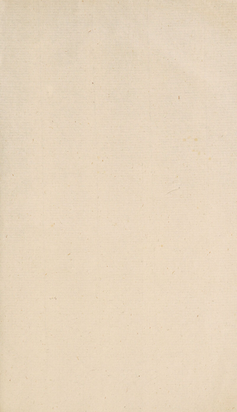 f r ( I \ s \ N % i / « ' • -t / ’ / / ) t I 1 / V I k / •/ s • / I /