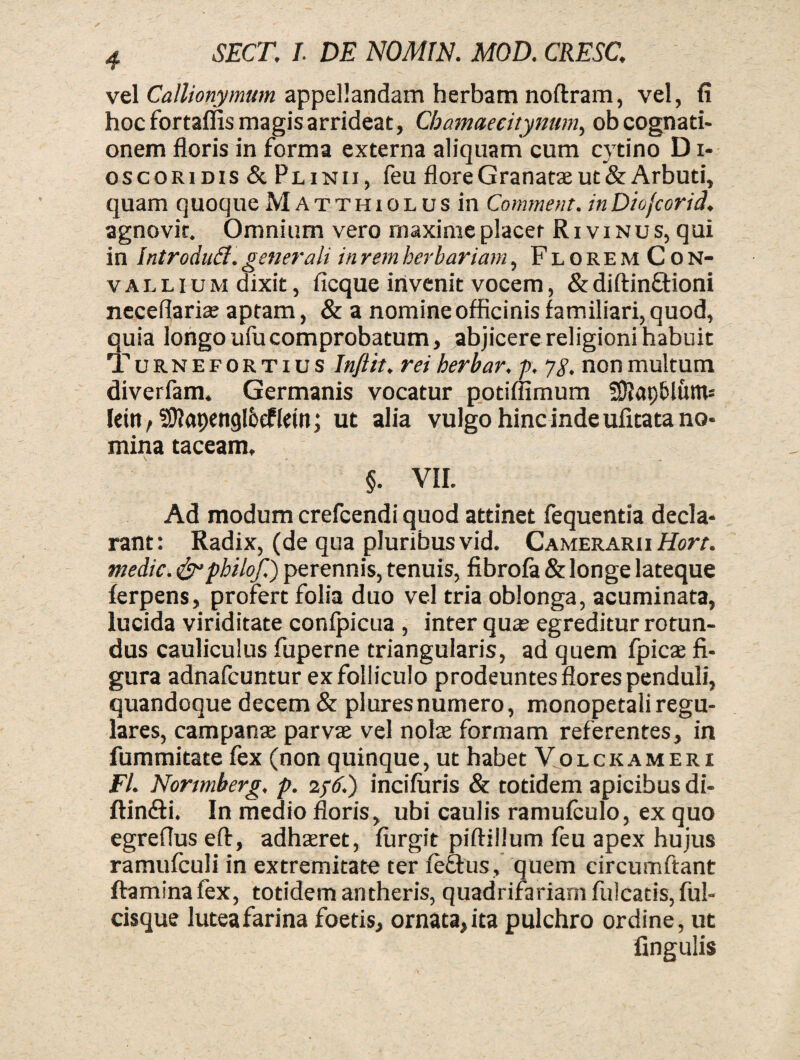 vel Callionymum appellandam herbam noftram, vel, (i hoc fortaflis magis arrideat, Cbamaecitynum, ob cognati¬ onem floris in forma externa aliquam cum cytino D i- oscoridis & Plinii, feu flore Granatae ut & Arbuti, quam quoque MATTHiOLUsin Commeat, inDio/corid. agnovit. Omnium vero maxime placer Ri vinus, qui in Introdutf. generali in rem herbariam, FloremCon- vallium dixit, ficque invenit vocem, &diftin£fioni neceflariae aptam, & a nomine officinis familiari, quod, quia longo ufucomprobatum, abjicere religioni habuit Turne fortius Inftit. rei herbar. p. yg. non multum diverfam. Germanis vocatur potiflimum 5D?apblum= lein, SD?apengl6ef kin; ut alia vulgo hinc inde ufitata no¬ mina taceam, §. VII. Ad modum crefcendi quod attinet fequentia decla¬ rant: Radix, (de qua pluribus vid. Camerarii Hort. medie. & philof.) perennis, tenuis, fibrofa & longe lateque ferpens, profert folia duo vel tria oblonga, acuminata, lucida viriditate confpicua , inter quae egreditur rotun¬ dus cauliculus fuperne triangularis, ad quem fpicae fi¬ gura adnafeuntur ex folliculo prodeuntes flores penduli, quandoque decem & pluresnumero, monopetaliregu¬ lares, campanae parvae vel nolae formam referentes, in fummitate fex (non quinque, ut habet Volckameri FI. Nonmberg. p. 2)6.) incifiiris & totidem apicibusdi- ftin&i. In medio floris, ubi caulis ramufculo, ex quo egreffus eft, adhaeret, furgit pifliilum feu apex hujus ramufculi in extremitate ter fetfus, quem circumflant flamina fex, totidem antheris, quadrifariam fuicatis, ful- cisque luteafarina foetis, ornata,ita pulchro ordine, uc fingulis