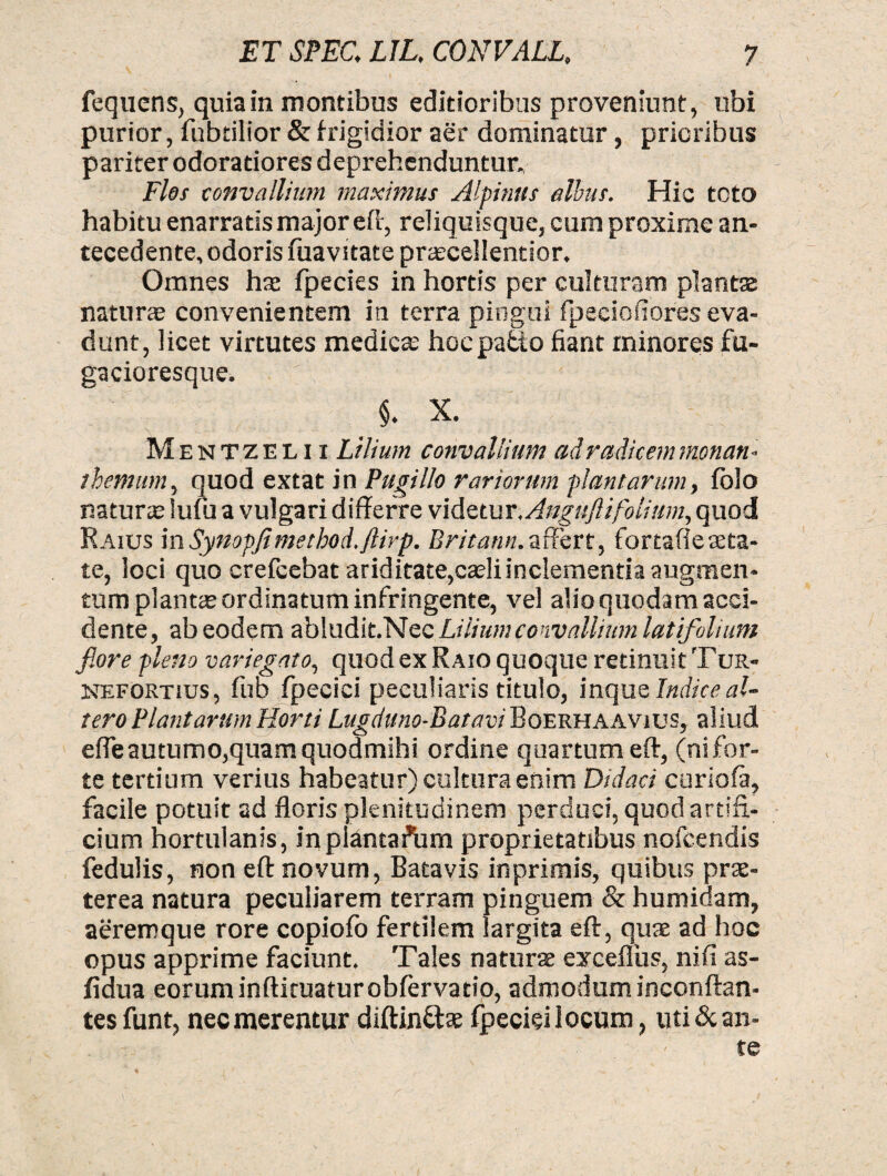 fequens, quia in montibus editioribus proveniunt, ubi purior, fubtilior & frigidior aer dominatur, prioribus pariter odo ratiores deprehenduntur. Flos convallium maximus Alpinus elbus. Hic toto habitu enarratis major eft, reliquisque, cum proxime an¬ tecedente, odoris fuavitate pnecellentior. Omnes has fpecies in hortis per culturam plantae natur® convenientem in terra pingui fpeciofiores eva¬ dunt, licet virtutes medie® hoc patio fiant minores fu- gacioresque. ' §. X. M entzelii Lilium convallium ad radicem menan- tbemum, quod extat in Pugillo rariorum plantarum, foio natur® lufu a vulgari differre videtur.Anguft i folium, quod Raius inSynopfimethod.flirp. Britann.affert, fortafiesta¬ te, loci quo crefcebat ariditate,c®liinclementiaaugmen¬ tum piant® ordinatum infringente, vel alio quodam acci¬ dente, ab eodem abludit.Nec Lilium convallium latifolium fiore pleno variegato, quod ex Raio quoque retinuit Tur- nefOktius, fub fpeciei peculiaris titulo, inque Indice al¬ tero Plantarum Horti Lugduno-Batavi Boerhaavius, aliud efle autumo,quam quodmihi ordine quartum eft, (nifor¬ te tertium verius habeatur) cultura enim Didaci curiofa, facile potuit ad floris plenitudinem perduci, quod artifi¬ cium hortulanis, in plantarium proprietatibus nofcendis fedulis, non eft novum, Batavis inprimis, quibus pr®- terea natura peculiarem terram pinguem & humidam, aeremque rore copiofo fertilem largita eft, qu® ad hoc opus apprime faciunt. Tales natur® excefliis, nifi as- fldua eorum inftituaturobfervatio, admodum inconftan- tesfunt, nec merentur diftin&s fpeciei locum, uti & an¬ te