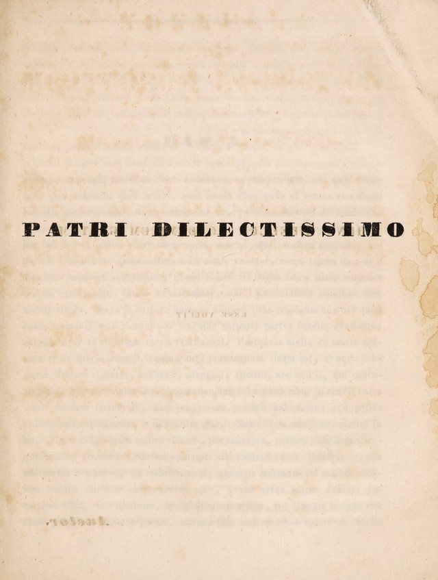 digitised image 3