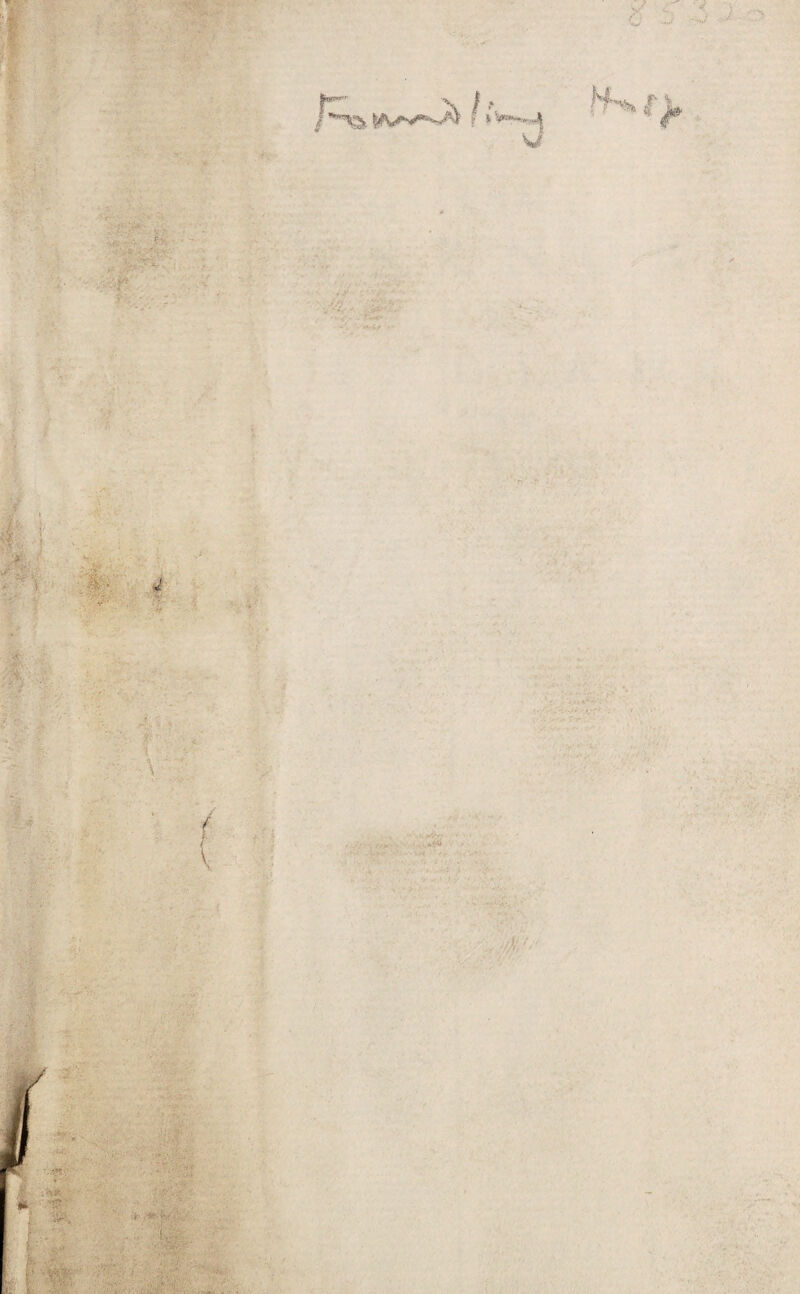 V - •/ ■w ••