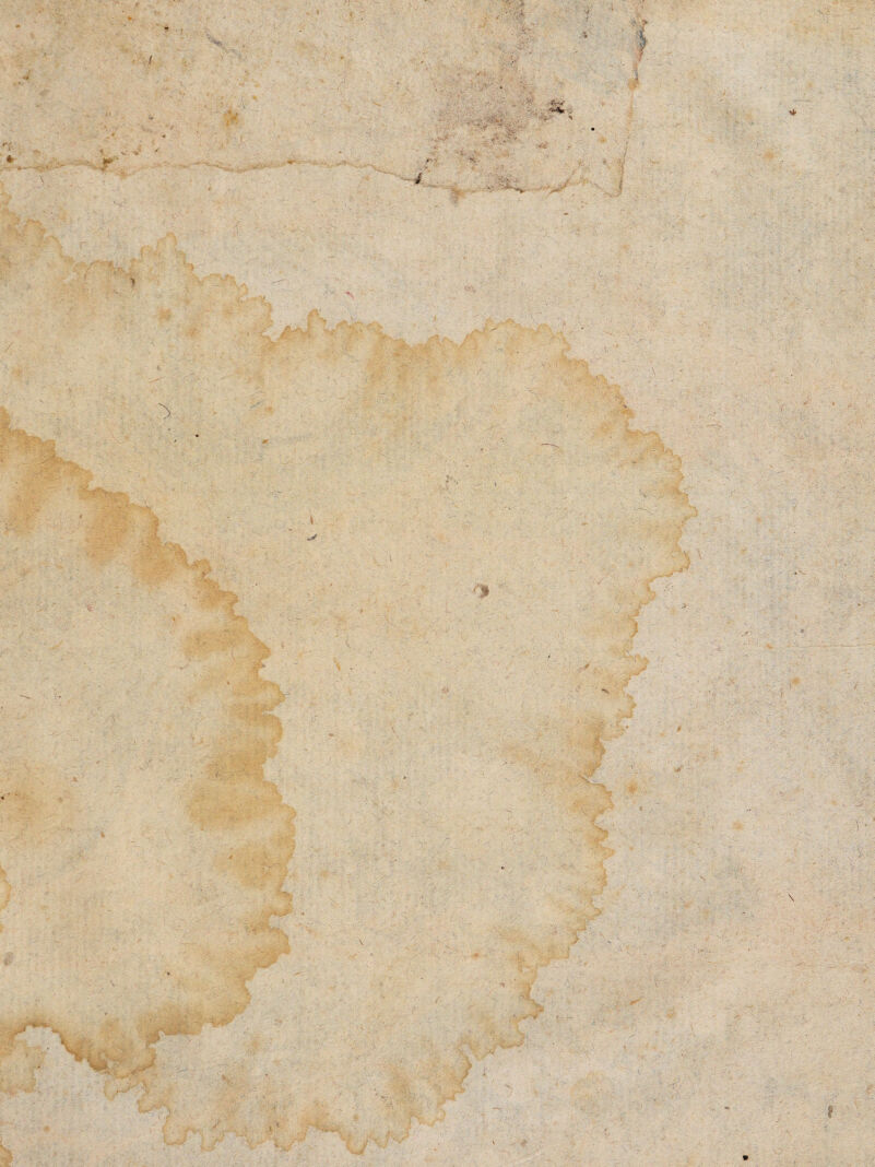 .> ii ,r; .• ■ W- '