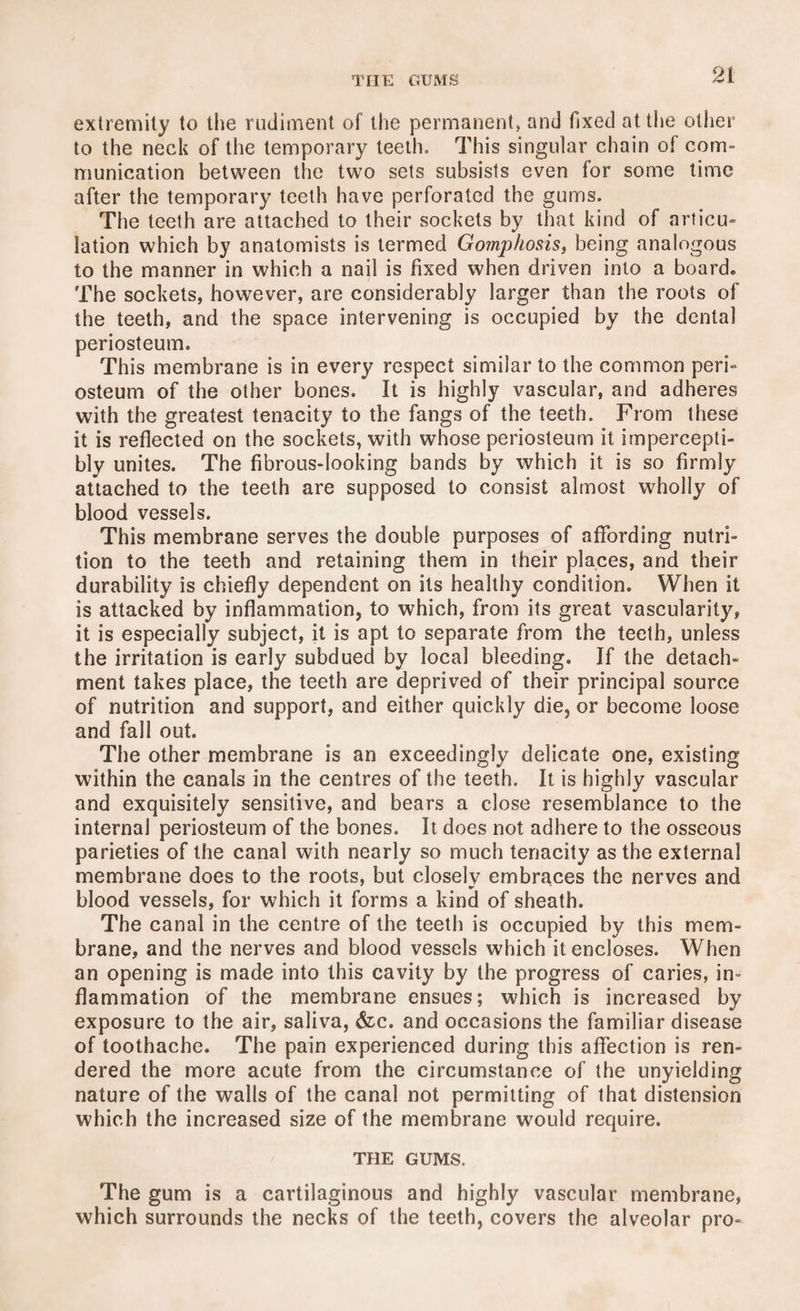 THE GUMS extremity to the rudiment of the permanent, and fixed at the other to the neck of the temporary teeth. This singular chain of com¬ munication between the two sets subsists even for some time after the temporary teeth have perforated the gums. The teeth are attached to their sockets by that kind of articu¬ lation which by anatomists is termed Go?nphosis, being analogous to the manner in which a nail is fixed when driven into a board. The sockets, however, are considerably larger than the roots of the teeth, and the space intervening is occupied by the dental periosteum. This membrane is in every respect similar to the common peri¬ osteum of the other bones. It is highly vascular, and adheres with the greatest tenacity to the fangs of the teeth. From these it is reflected on the sockets, with whose periosteum it impercepti¬ bly unites. The fibrous-looking bands by which it is so firmly attached to the teeth are supposed to consist almost wholly of blood vessels. This membrane serves the double purposes of affording nutri¬ tion to the teeth and retaining them in their places, and their durability is chiefly dependent on its healthy condition. When it is attacked by inflammation, to which, from its great vascularity, it is especially subject, it is apt to separate from the teeth, unless the irritation is early subdued by local bleeding. If the detach¬ ment takes place, the teeth are deprived of their principal source of nutrition and support, and either quickly die, or become loose and fall out. The other membrane is an exceedingly delicate one, existing within the canals in the centres of the teeth. It is highly vascular and exquisitely sensitive, and bears a close resemblance to the internal periosteum of the bones. It does not adhere to the osseous parieties of the canal with nearly so much tenacity as the external membrane does to the roots, but closely embraces the nerves and blood vessels, for which it forms a kind of sheath. The canal in the centre of the teeth is occupied by this mem¬ brane, and the nerves and blood vessels which it encloses. When an opening is made into this cavity by the progress of caries, in¬ flammation of the membrane ensues; which is increased by exposure to the air, saliva, &c. and occasions the familiar disease of toothache. The pain experienced during this affection is ren¬ dered the more acute from the circumstance of the unyielding nature of the walls of the canal not permitting of that distension which the increased size of the membrane would require. THE GUMS. The gum is a cartilaginous and highly vascular membrane, which surrounds the necks of the teeth, covers the alveolar pro-
