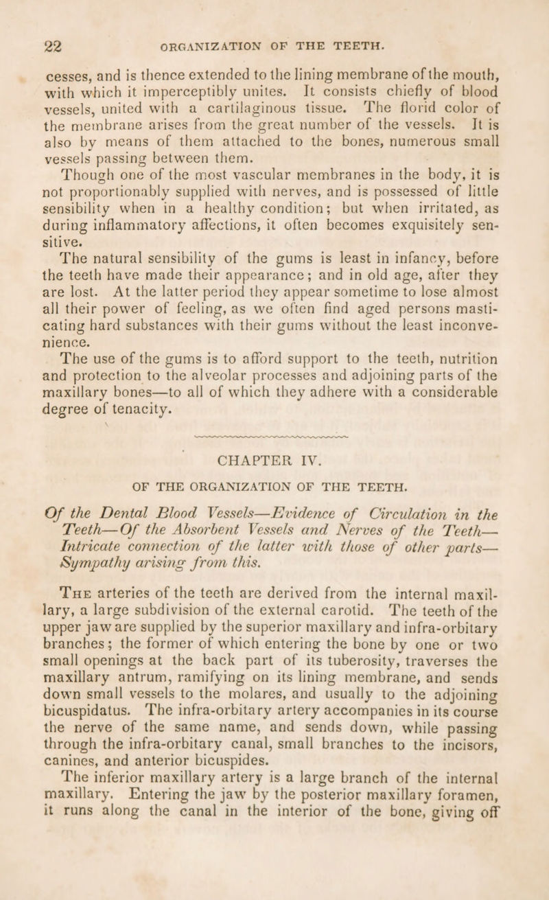 cesses, and is thence extended to the lining membrane of the mouth, with which it imperceptibly unites. It consists chiefly of blood vessels, united with a cartilaginous tissue. The florid color of the membrane arises from the great number of the vessels. It is also by means of them attached to the bones, numerous small vessels passing between them. Though one of the most vascular membranes in the body, it is not proportionably supplied witli nerves, and is possessed of little sensibility when in a healthy condition; but when irritated, as during inflammatory affections, it often becomes exquisitely sen¬ sitive. The natural sensibility of the gums is least in infancy, before the teeth have made their appearance; and in old age, after they are lost. At the latter period they appear sometime to lose almost all their power of feeling, as we often find aged persons masti¬ cating hard substances with their gums without the least inconve¬ nience. The use of the gums is to afford support to the teeth, nutrition and protection to the alveolar processes and adjoining parts of the maxillary bones—to all of which they adhere with a considerable degree of tenacity. CHAPTER IV. OF THE ORGANIZATION OF THE TEETH. Of the Dental Blood Vessels—Evidence of Circulation in the Teeth—Of the Absorbent Vessels and Nerves of the Teeth— Intricate connection of the latter with those of other parts— Sympathy arising from this. The arteries of the teeth are derived from the internal maxil¬ lary, a large subdivision of the external carotid. The teeth of the upper jaw are supplied by the superior maxillary and infra-orbitary branches; the former of which entering the bone by one or two small openings at the back part of its tuberosity, traverses the maxillary antrum, ramifying on its lining membrane, and sends down small vessels to the molares, and usually to the adjoining bicuspidatus. The infra-orbitary artery accompanies in its course the nerve of the same name, and sends down, while passing through the infra-orbitary canal, small branches to the incisors, canines, and anterior bicuspides. The inferior maxillary artery is a large branch of the internal maxillary. Entering the jaw by the posterior maxillary foramen, it runs along the canal in the interior of the bone, giving off