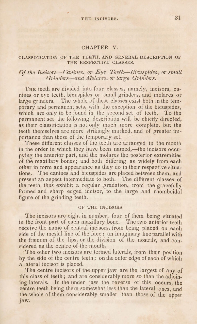 CHAPTER Y. CLASSIFICATION OF THE TEETH, AND GENERAL DESCRIPTION OF THE RESPECTIVE CLASSES. Of the Incisors— Canines, or Eye Teeth—Bicuspides, or small Grinders—and Molares, or large Grinders. The teeth are divided into four classes, namely, incisors, ca¬ nines or eye teeth, bicuspides or small grinders, and molares or large grinders. The whole of these classes exist both in the tem¬ porary and permanent sets, with the exception of the bicuspides, which are only to be found in the second set of teeth. To the permanent set the following description will be chiefly directed, as their classification is not only much more complete, but the teeth themselves are more strikingly marked, and of greater im¬ portance than those of the temporary set. These different classes of the teeth are arranged in the mouth in the order in which they have been named,—-the incisors occu¬ pying the anterior part, and the molares the posterior extremities of the maxillary bones; and both differing as widely from each other in form and appearance as they do in their respective situa- tions. The canines and bicuspides are placed between them, and present an aspect intermediate to both. The different classes of the teeth thus exhibit a regular gradation, from the gracefully formed and sharp edged incisor, to the large and rhomboidal figure of the grinding teeth. OF THE INCISORS. The incisors are eight in number, four of them being situated in the front part of each maxillary bone. The two anterior teeth receive the name of central incisors, from being placed on each side of the mesial line of the face ; an imaginary line parallel with the frasnum of the lips, or the division of the nostrils, and con¬ sidered as the centre of the mouth. The other two incisors are termed laterals, from their position by the side of the centre teeth; on the outer edge of each of which a lateral incisor is placed. The centre incisors of the upper jaw are the largest of any of this class of teeth ; and are considerably more so than the adjoin¬ ing laterals. In the under jaw the reverse of this occurs, the centre teeth being there somewhat less than the lateral ones, and the whole of them considerably smaller than those of the upper jaw.