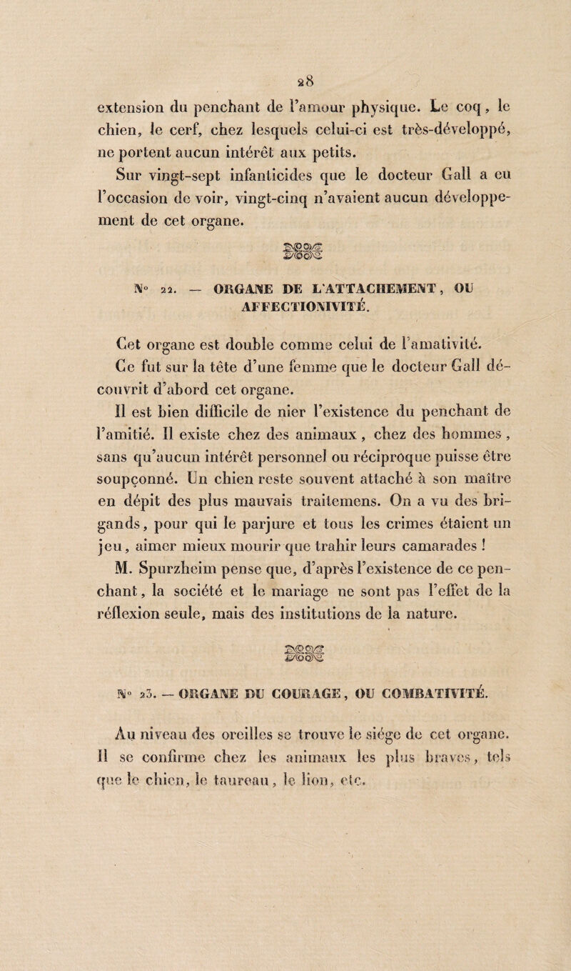 extension du penchant de l’amour physique. Le coq, le chien, le cerf, chez lesquels celui-ci est très-déveîoppé, ne portent aucun intérêt aux petits. Sur vingt-sept infanticides que le docteur Gall a eu l’occasion de voir, vingt-cinq n’avaient aucun développe¬ ment de cet organe. N° 22. — ORGANE DE L'ATTACHEMENT, OU AI FECTIONÏYITÉ. Cet organe est double comme celui de 1 amativité. Ce fut sur la tête d’une femme que le docteur Gall dé¬ couvrit d’abord cet organe. Il est bien difficile de nier l’existence du penchant de l’amitié. Il existe chez des animaux, chez des hommes, sans qu’aucun intérêt personnel ou réciproque puisse être soupçonné. Un chien reste souvent attaché à son maître en dépit des plus mauvais traitemens. On a vu des bri¬ gands, pour qui le parjure et tous les crimes étaient un jeu, aimer mieux mourir que trahir leurs camarades ! M. Spurzheim pense que, d’après l’existence de ce pen ¬ chant , la société et le mariage ne sont pas l’effet de la réflexion seule, mais des institutions de la nature. N° 23. — ORGANE DU COURAGE, OU COMBATIVITÉ. Au niveau des oreilles se trouve le siège de cet organe. Il se confirme chez les animaux les plus braves, tels que le chien, le taureau, le lion, etc.