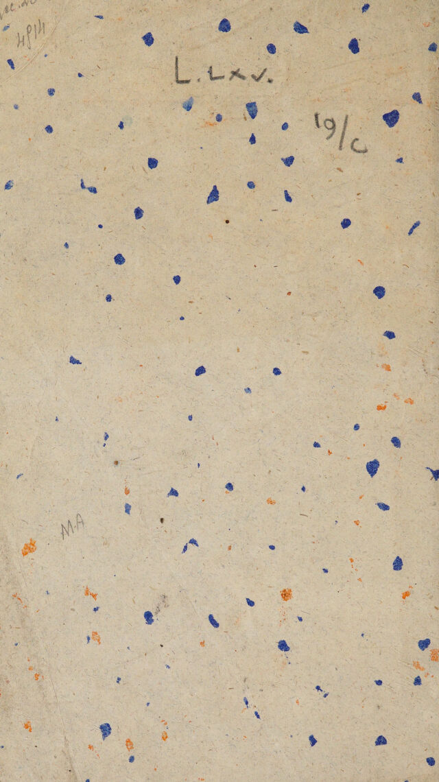 digitised image 2
