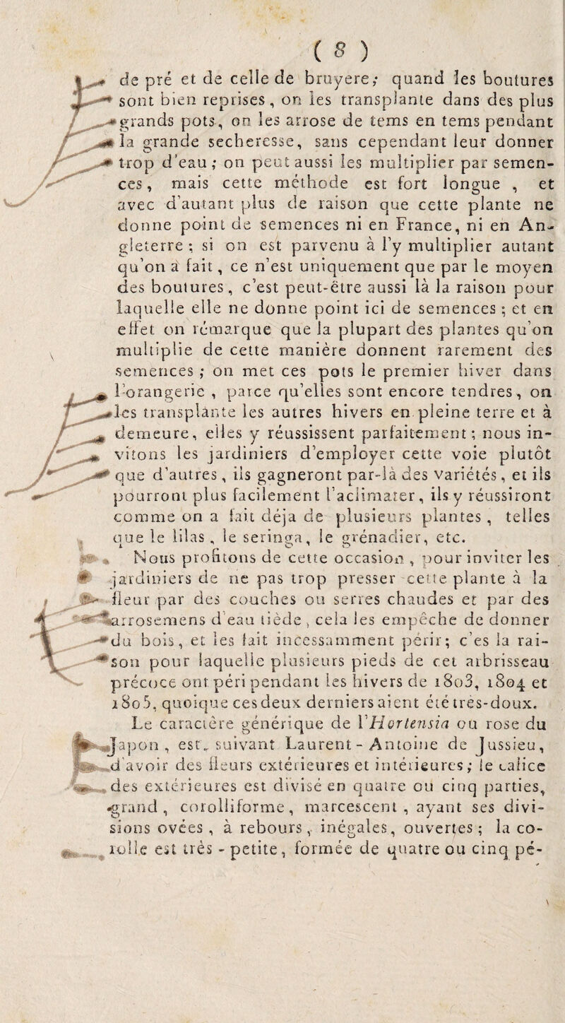 1^ de pré et de celle de bruyere; quand les boutures sont bien reprises, on les transplante dans des plus /^grands pots, on les arrose de tems en tems pendant grande secheresse, sans cependant leur donner trop d’eau ; on peut aussi les multiplier par semen¬ ces , mais cette méthode est fort longue , et avec d’autant plus de raison que cette plante ne donne point de semences ni en France, ni en An¬ gleterre : si on est parvenu à l’y multiplier autant qu’on à fait, ce n’est uniquement que par le moyen des boutures, c’est peut-être aussi là la raison pour laquelle elle ne donne point ici de semences ; et en effet on remarque que la plupart des plantes qu’on multiplie de cette manière donnent rarement des semences ; on met ces pots le premier hiver dans 1-orangerie , parce qu’elles sont encore tendres , on les transplante les autres hivers en pleine terre et à demeure, elles y réussissent parfaitement; nous in¬ vitons les jardiniers d’employer cette voie plutôt que d’autres, ils gagneront par-ià des variétés, et ils pdurroni plus facilement l’aclimater, ils y réussiront comme on a fait déjà de plusieurs plantes , telles crue le lilas, le seringa, le grenadier, etc. Nous prontons de cette occasion , pour inviter les # jardiniers de ne pas trop presser cette plante à la fleur par des couches ou serres chaudes et par des ^“«^rrosemens d’eau tiède j cela les empêche de donner bois, et les lait incessamment périr; c’es la rai- '^son pour laquelle plusieurs pieds de cei arbrisseau précoce ont péri pendant les hivers de iSo3, 1804 et 2 8o5, quoique ces deux, derniers aient été ires-doux. Le caractère générique de rHoriensia ou rose du son, est. suivant Laurent - Antoine de Jussieu, d’avoir des fleurs extérieures et intérieures; te calice W . des extérieures est divisé en quatre ou cinq parties, ^^rand , coroliiforme, marcesceni , ayant ses divi¬ sions ovées , à rebours, inégales, ouvertes ; la co- ^ ^ lolle est très - petite, formée de quatre ou cinq pé-