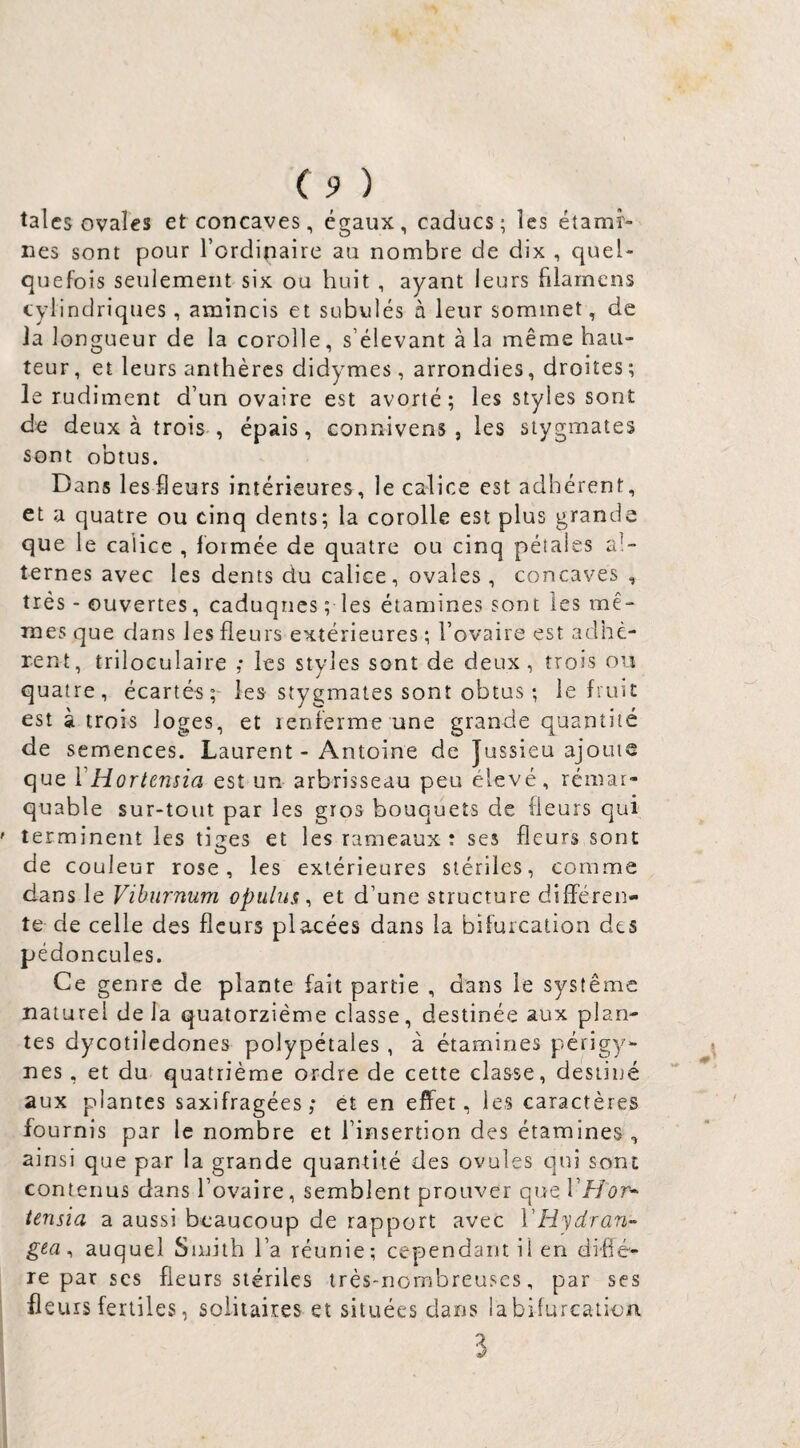 talcs ovales et concaves, égaux, caducs; les étami¬ nes sont pour l’ordipaire au nombre de dix , quel¬ quefois seulement six ou huit , ayant leurs filarnens cylindriques, amincis et subvilés à leur sommet, de Ja longueur de la corolle, s’élevant à la même hau¬ teur , et leurs anthères didymes, arrondies, droites ; le rudiment d’un ovaire est avorté; les styles sont de deux à trois , épais, connivens , les siygmates sont obtus. Dans les fleurs intérieures, le calice est adhérent, et a quatre ou cinq dents; la corolle est plus grande que le calice , foimée de quatre ou cinq pétales al¬ ternes avec les dents du calice, ovales, concaves , très - ouvertes, caduques ; les étamines sont les mê¬ mes que dans les fleurs extérieures ; l’ovaire est adhé¬ rent, triloculaire ,* les styles sont de deux , trois ou quatre, écartés; les stygmates sont obtus ; le finie est à trois loges, et lenferme une grande quantité de semences. Laurent - Antoine de Jussieu ajouts que VHortensia est un arbrisseau peu élevé, rémar- quable sur-tout par les gros bouquets de fleurs qui terminent les tiges et les rameaux: ses fleurs sont de couleur rose, les extérieures stériles, comme dans le Viburnum opulus ^ et d’une structure différen¬ te de celle des fleurs placées dans la bifurcation des pédoncules. Ce genre de plante fait partie , dans le système naturel de la quatorzième classe, destinée aux plan¬ tes dycotilcdones polypétales , à étamines périgy- nes, et du quatrième ordre de cette classe, destiné aux plantes saxifragées ; et en effet, les caractères fournis par le nombre et l’insertion des étamines, ainsi que par la grande quantité des ovules qui sont contenus dans l’ovaire, semblent prouver que VH or* tensia a aussi beaucoup de rapport avec VHydran- gea ^ auquel Smith l’a réunie; cependant il en diffè¬ re par scs fleurs stériles très-nombreuses, par ses fleurs fertiles, solitaires et situées dans la bifurcation 3