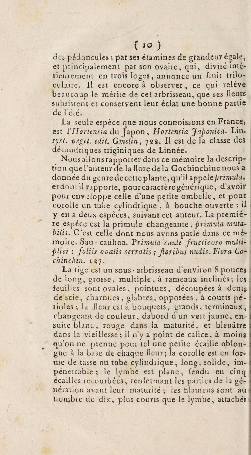 t { 10 ) ties pédoncules *, par ses étamines de grandeur égale, et principalement par son ovaire, qui, divisé inté¬ rieurement en trois loges, annonce un fruit trilo- Cülaire. Il est encore à observer , ce qui relève beaucoup le mérite de cet arbrisseau, que ses fleuri subsistent et conservent leur éclat une bonne partie de l’été. La seule espèce que nous connoissons en France, est {'Hortensia du Japon, Hortensia Japonica. Lin. syst. veget, edit, Gmdin^ 722. Il est de la classe des décandriques triginiques de Linnée. Nous allons rapporter dans ce mémoire la descrip¬ tion queTauteur de la flore delà Gochinchine nous a donnée du genre de cette plante, qudl appele/?r/mti/tz, et dont il rapporte, pourcaractère générique, d’avoir pour enveloppe celle d’une petite ombelle, et pour corolle un tube cylindrique , à bouche ouverte : ü y eu a deux espèces, suivant cet auteur. La premiè¬ re espèce est la primule changeante, primiila muta- hitis. C’est celle dont nous avons parlé dans ce mé^ moire. Sau-cauhoa. Frimula cauîe Jructicoso multi- , plie? : folHy ovatis serratis ; fiorihus nudis. Flora Co~ : chinchin. 127. La tige est un sous-arbrisseau d’environ 8 pouces 1 de long, grosse, multiple, à rameaux inclinés; les 1 feuilles sont ovales, pointues, découpées à dents de scie, charnues, glabres, opposées , à courts pé- 1 tioles ; la fleur est à bouquets, grands, terminaux, ! changeant de couleur, dabord d’un vert jaune, en- i suite blanc . roug;e dans la maturité, et bleuâtre i dans la vieillesse; il n’y a point de calice, à moins 1 qu’on ne prenne pour tel une petite écaille oblon- 1 gue à la base de chaque fieur; la corolle est en for¬ me de tasse ou tube cylindiique, long, solide, im- f pénétrable ; le lymbe est plane, fendu eu cinq t écailles recourbées, renfermant les parties de la gé- 1 nération avant leur maturité ; les blamens sont au ^ nombre de dix, plus courts que le lymbe, attachés .