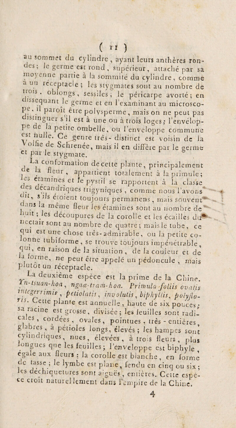 ( ” ) au sommet du cylindre , ayant leurs anthères ron- es; le germe esc rond , supérieur, attaché par sa nio}enne partie à la sommité du cylindre, comme a uu réceptacle ; les stygmates sont au nombre de trois, oblongs , sessiles ; le péricarpe avorté; en Jssequant Je germe et en l’examinant au microsco- pe, 1 paroît être polysperme , mais on ne peut pas istinguer s il est à une ou à trois loges,* l’envélop- petite ombelle, ou l’enveloppe commune Cîe^enre très- distinct est voisin de la O le de Schienée, mais il en diffère par le germe et par le stygmate. . La Conformation de cette plante, principalement e a eur , appartient totalement à laprimuie; w ctamines et le pystil se rapportent à la classe es ecancjfjqLjgg trigyniques , comme nous l’avons H, s ils é^toient toujours permanens, mais souveiu^ ans a même fleur les étamines sont au nombre de J\uit ; les découpures de la corolle et les écailles di# uecîair sont au nombre de quatre ; mais le tube , ce qui est une chose très-admirable, ou la petite co- orme tubiforme, se trouve toujours impénétrable, qui, en raison de la situation . de la couleur et de ia forme, ne peut être appelé un pédoncule , mais plutôt un réceptacle. La deuxième espèce est la prime delà Chine, n-tsuan-hoa, ngace-tram-hoa. Frimula j^oliis ovatis 'iniegnrimis ^ petiolatis^ involiUis ^ biphyllis^ polyflo- yCtte plante est annuelle , haute de six pouces • sa racine est grosse, divisée; les feuilles sont radi- ca.es, cordées , ovales, pointues , très - entières ^ ^1- ^ pétioles longs, élevés ; les hampes sont cylindriques, nues, élevées, à trois fleurs, plus ongues que les feuilles; l’enveloppe est biphyle égalé aux fleurs : la corolle est blanche, en forme oc tasse ; le lymbe est plane, fendu en cinq ou six; es dechiquetures sont aiguës-', entières. Celle espè¬ ce croit naturellement dans fempire de la Chine. 4