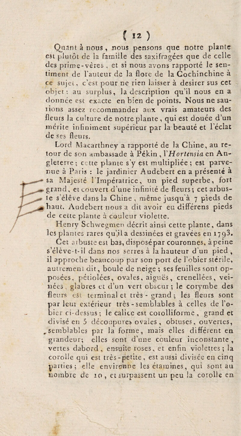 C ) Qaant à nous, nous pensons que notre plante est plutôt de la famille des saxifragées que de celle des prime-vères . et si nous avons rapporté le sen¬ timent de l’auteur de la flore de la Gochinchîne à ce sujet, c’est pour ne rien laisser à desirer sus cet objet-, au surplus, la description qu’il nous en a donnée est exacte en bien de points. Nous ne sau¬ rions assez recommander aux vrais amateurs des fleurs la culture de notre plante, qui est douée d’un mérite inliniment supérieur par la beauté et l’éclat de ses fie urs. Lord Macarthney a rapporté de la Chine, au re¬ tour de son ambassade à Pékin , Y Hortensia en An¬ gleterre ; celte plante s’y est multipliée; est parve¬ nue à Paris : le jardinier Audebert en a présenté à sa Majesté l’Impératrice, un pied superbe, fort grand, et couvert d’une inlioité de fleurs; cet arbus¬ te s’élève dans la Chine, même jusqu’à 7 pieds de haut. Audebert nous a dit avoir eu différens pieds de cette plante à couleur violette, Henry Schwegmen décrit ainsi cette plante, dans les plantes rares qu’jla dessinées et gravées en 1793. Cet arbuste est bas, disposépar couronnes, àpeine s’élève-t-il dans nos serres à la hauteur d'un pied , il approche beaucoup par son port de l’obier stérile, auiremeni dit, boule de neige; ses feuilles sont op¬ posées, pétiolées, ovales, aiguës, crenellées, vei¬ nées . glabres et d’un vert obscur ; le corymbe des fleurs est terminai et très - cTrand; les fleurs sont parleur extérieur très - semblables à celles de l’o¬ bier ci-dessus; le calice est corolliforme , grand et divisé en 5 découpures ovales , obtuses, ouvertes, ^semblables par la forme, mais elles différent en grandeur; elles sont d'une couleur inconstante , vertes dabord , ensuite roses, et enfin violettes; la corolle qui est très-petite, est aussi divisée en cinq parties; elle environne les étamines, qui sont au nombre de 10, et surpassent un peu la corolle ea