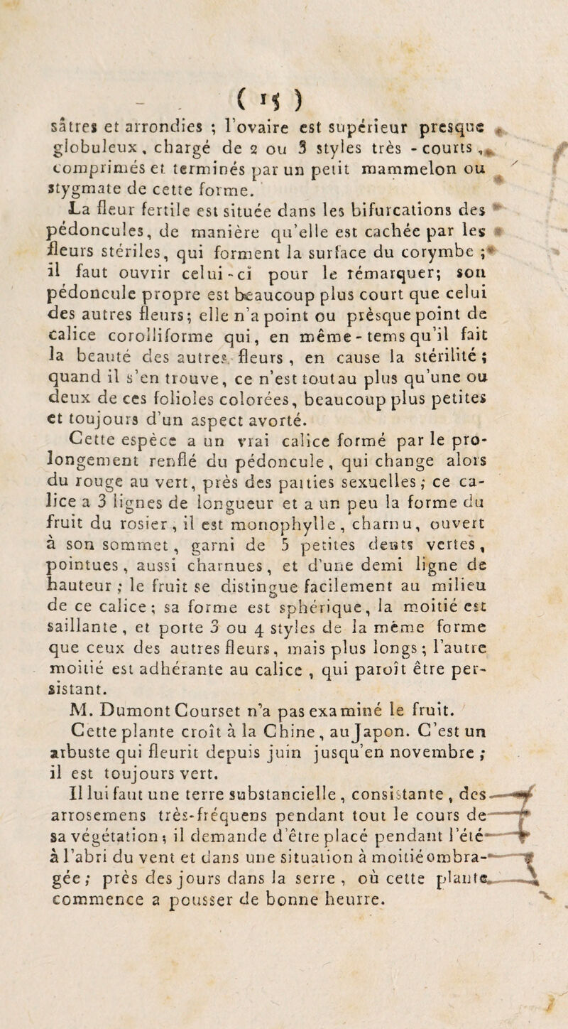 sâtres et arrondies ; l’ovaire est supérieur presque globuleux, chargé de 2 ou 3 styles très - courts tomprimésef. terminés par un petit raammelon ou stygmate de cette forme. La fleur fertile est située dans les bifurcations des pédoncules, de manière qu’elle est cachée par les fleurs stériles, qui forment la surface du corymbe il faut ouvrir celui-ci pour le rémarquer; sou pédoncule propre est beaucoup plus court que celui des autres fleurs ; elle n’a point ou prèsc|ue point de calice coroiliforme qui, en même - tems qu’il fait la beauté des autre® fleurs , en cause la stérilité; quand il s’en trouve, ce n’est toutau plus qu’une ou deux de ces folioles colorées, beaucoup plus petites et toujours d’un aspect avorté. Cette espèce a un vrai calice formé par le pro¬ longement renflé du pédoncule, qui change alors du rouge au vert, près des paities sexuelles,- ce ca¬ lice a 3 lignes de longueur et a un peu la forme du fruit du rosier, il est monophylle, charnu, ouvert à son sommet, garni de 5 petites dents vertes, pointues, aussi charnues, et d’une demi ligne de hauteur ; le fruit se distingue facilement au milieu de ce calice; sa forme est sphérique, la moitié est saillante, et porte 3 ou 4 styles de la meme forme que ceux des autres fleurs, mais plus longs; l’autre moitié est adhérante au calice , qui paraît être per¬ sistant. M. Dumont Courset n’a pas examiné le fruit. Cette plante croît à la Chine , aujapon. C’est un arbuste qui fleurit depuis juin jusqu’en novembre ; il est toujours vert. Il lui faut une terre substancielle , consistante , des— arrosemens très-fréquens pendant tout le cours sa végétation •, il demande d’être placé pendant l’éié* â l’abri du vent et dans une situation à moitiéombra-*==“ gée ; près des jours dans la serre, où cette plante^ commence a pousser de bonne beurre.