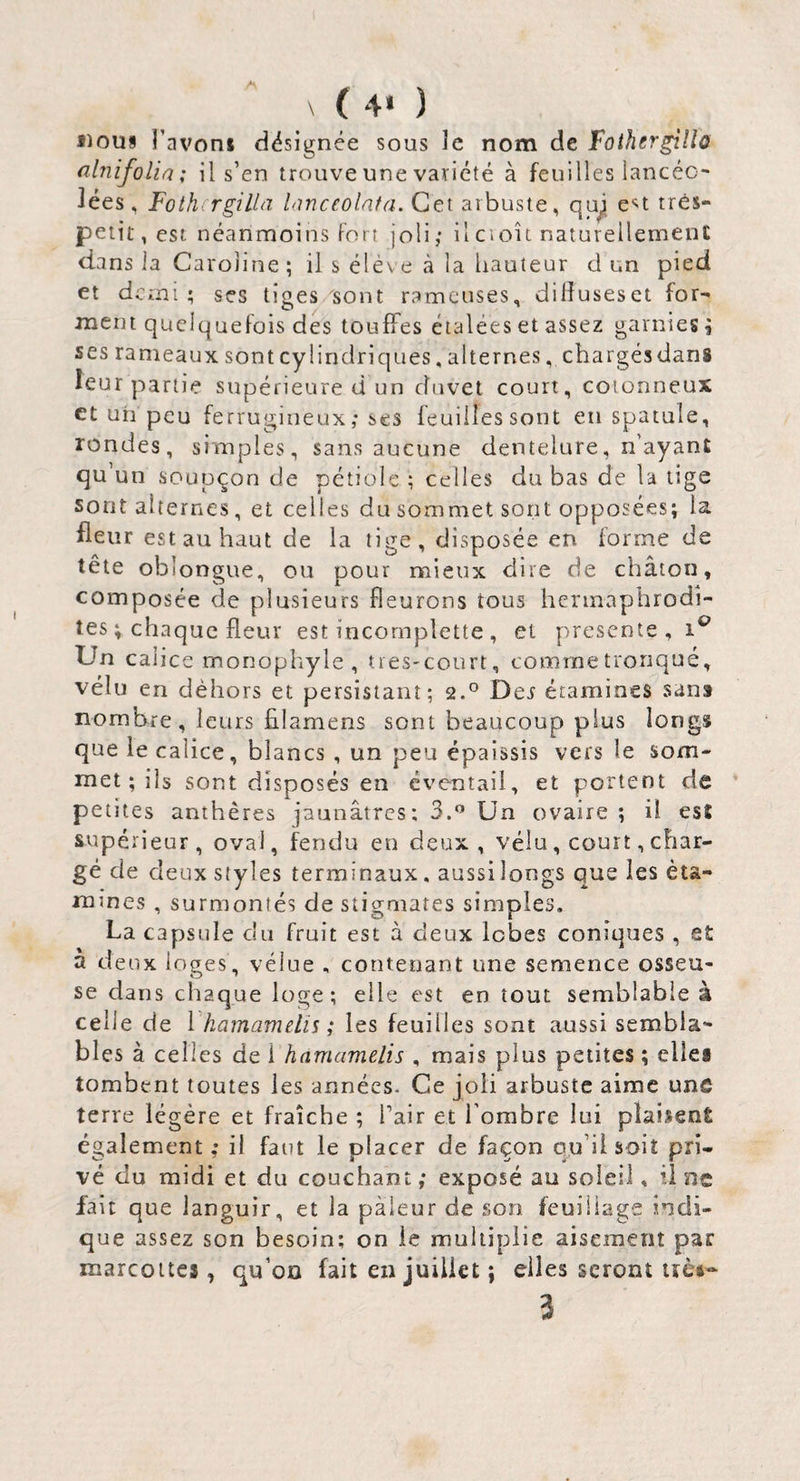 ^ ( 4« ) lious Tavoni désignée sous Je nom de Fothergillo filnifolia; il s’en trouve une variété à feuilles lancéo¬ lées, Fothcrgilla hinceolata. Cet arbuste, qu^ c^t très- petit, est néanmoins fort joli; il cioît naturellement dans la Caroline ; il s élève à la liauteur d un pied et demi; ses tiges sont rameuses, dilîuseset for¬ ment quelquefois des touffes étalées et assez garnies i ses rameaux sont cylindriques, alternes, chargés dans leur partie supérieure d un duvet court, cotonneux et un peu ferrugineux ; ses feuilles sont en spatule, rondes, simples, sans aucune dentelure, n’ayant qu’un soupçon de pétiole ; celles du bas de la lige sont alternes, et celles du sommet sont opposées; la fleur est au haut de la tige, disposée en forme de tête oblongue, ou pour mieux dire de chaton, composée de plusieurs fleurons tous hermaphrodi¬ tes ; chaque fleur est incornplette , et présenté, Un calice monophyle , très-court, comme tronqué, vélu en déhors et persistant; 2.° Dej étamines sans nombre, leurs filamens sont beaucoup plus longs que le calice, blancs , un peu épaissis vers le som¬ met ; ils sont disposés en éventail, et portent de ’ petites anthères jaunâtres; 3.*’ Un ovaire ; il est supérieur, oval, fendu en deux, vélu, court, char¬ gé de deux styles terminaux. aussilongs que les éta¬ mines , surmontés de stigmates simples. La capsule du fruit est à deux lobes coniques , et a deux loges , velue , contenant une semence osseu¬ se dans chaque loge; elle est en tout semblable à celle de Vhamamelis ; les feuilles sont aussi sembla¬ bles à celles de i hamamelis , mais plus petites ; elle* tombent toutes les années. Ce joli arbuste aime une terre légère et fraîche ; Pair et l’ombre lui pîaisenÊ également; il faut le placer de façon qu’il soit pri¬ vé du midi et du couchant ; exposé au soleil, il ne fait que languir, et la pâleur de son feuillage indi¬ que assez son besoin; on le multiplie aisément par marcottes, qu’oo fait en juillet ; elles seront uèi- 3