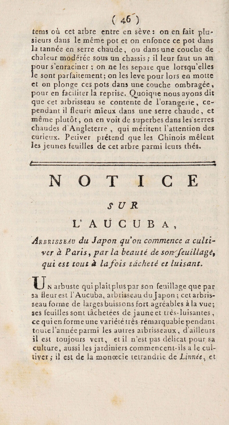 teras où cet arbre entre en sève: on en fait plu¬ sieurs dans le même pot et on enfonce ce pot dans la tannée en serre chaude, ou dans une couche de chai eur modérée sous un châssis ; il leur faut un an pour s’enraciner ; on ne les séparé que lorsqu’elles le sont parfaitement; on les leve pour lors en motte et on plonge ces pots dans une couche ombragée, pour en faciliter la reprise. Quoique nous ayons dit que cet arbrisseau se contente de l’orangerie, ce¬ pendant il fleurir mieux dans une serre chaude, et même plutôt ; on en voit de superbes dans les serres chaudes d' Angleterre , qui méritent l’attention des curieux. Petiver prétend que les Chinois mêlent les jeunes leuilles de cet arbre parmi leurs thés. N O T ICE SUR L’ A U G U B A , Arbrisseau du Japon quon commence a culti¬ ver à Paris f par la beauté àe soivJeuillagt^ qui est tout à la fois lâcheté et luisant. U N arbuste qui plait plus par son feuillage que par sa fleur est i’Aucuba, arbrisseau du Japon ; cet arbris¬ seau forme de largesbuissons fort agréables àla vue; ses feuilles sont lâchetces de jaune et trés-luisantes, ce qui en forme une variété très rémaïquabie pendant touierannée parmi les autres arbrisseaux, d’ailleurs il est toujours vert, et il n’est pas délicat pour sa culture, aussi les jardiniers commeocent-ils a le cul¬ tiver ; il est de la monœcie tetrandrie de Linnée^ et
