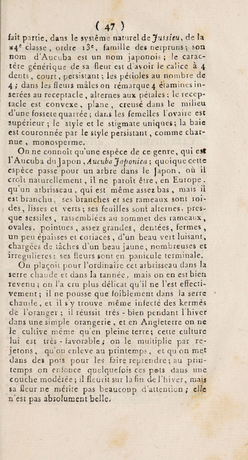 fait partie, dans le système nattirel de Jussieu, de la classe, ordre i3®, famille des nerprurrs-, son nom d’Aucuba est un nom japonois ; le carac¬ tère générique de sa fleur est d’avoir le calice à 4 den ts, court, persistant *, les pétioles au nombre de 4 ; dans les fleurs mâles on rémarque 4 étamines in¬ sérées au réceptacle , alternes aux pétales ; le icccp- tacle est convexe, plane, creusé dans le milieu d’une fosseie quarrée ; dans les femelles l’ovaiie est supérieur ; le style et le stigmate uniques; la baie est couronnée par le style persistant, comme char¬ nue , monosperme. On ne connoît qu’une espèce de ce genre, qui est 1 Aucuba ,Aucuba Japonica : quoique cette espèce passe pour un arbre dans le japon , où il croît naturellement, il ne paroît être , en Europe , qu’un arbrisseau , qui est même assez bas , mais il estbranchu, ses branches et ses rameaux soiu loi- des, lisses et verts; ses feuilles sont ahernes, pres¬ que sessiles, rassemblées au sommet des rameaux, ovales, pointues , assez grandes, dentées, fermes , un peu épaisses et coriaces, d’un beau vert luisant, chargées de lâches d'un beau jaune, nombreuses et irregnlieres : ses fleurs sont en panicule terminale. On plaçoit pour l’ordirrairc cet arbrisseau dans la serre chaude et dans la tannée, mais on en est bien Tevenu; on l’a cru plus délicat qu’il ne l’est effecti¬ vement ; il ne pousse que foibiement dans la serre '• chaude , et il s’y trouve même infecté des kermès de l’oranger ; il réussit très - bien pendant 1 hiver dans une simple orangerie , et en Angleterre on ne Je cultive même qu’en pleine terre; cette culture lui est très - favorable,; on le multiplie par re¬ jetons, qu’on enleve au printemps, et qu’on met dans des pots pour les faire reprendre ; au prin¬ temps on enioDce quelquefois ces p©îs dans une couche modérée ; il fleurit sur la fin de l’hiver, mais sa fleur ne mérite pas beaucoup d’aiteniion ; elle n’est pas absolument belle.