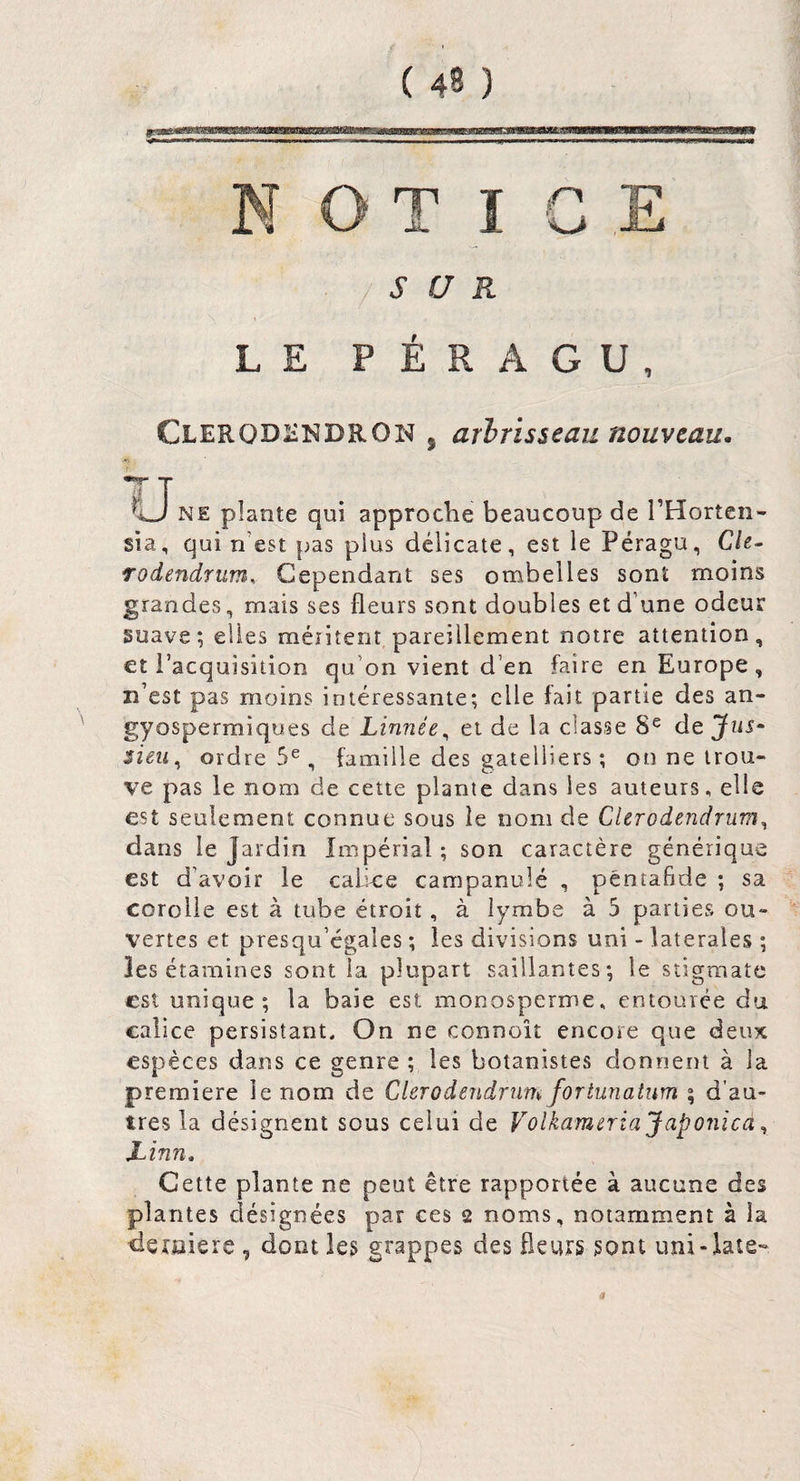 /SUR LE PER A GU, Clerod-îNDRON 5 arbrisseau nouveau. TT NE plante qui approche beaucoup de l’Horten- sia, qui n’est pas plus délicate, est le Péragu, Ch- rodendrum. Cependant ses ombelles sont moins grandes, mais ses fleurs sont doubles et d’une odeur suave; elles méiitent pareillement notre attention, et l’acquisition qu’on vient d’en faire en Europe, n’est pas moins intéressante; elle fait partie des an- gyospermiques de Linnée^ et de la classe 8^ de Jus¬ sieu^ ordre 5^, famille des gatelliers ; on ne trou¬ ve pas le nom de cette plante dans les auteurs, elle est seulement connue sous le nom de Clerodendrum^ dans le Jardin Impérial ; son caractère générique est d’avoir le calice campanule , péntafide ; sa corolle est à tube étroit, à iymbe à 5 parties ou¬ vertes et presqu’égales ; les divisions uni - latérales ; les étamines sont la plupart saillantes; le stigmate est unique; la baie est monosperme, entourée du calice persistant. On ne connoît encore que deux espèces dans ce genre ; les botanistes donnent à la première le nom de Clerodendrum fortunatum ; d'au¬ tres la désignent sous celui de Voîkameriajaponica^ Linn, Cette plante ne peut être rapportée à aucune des plantes désignées par ces 2 noms, notamment à la dexaiere , dont les grappes des fleurs sont uni-late~