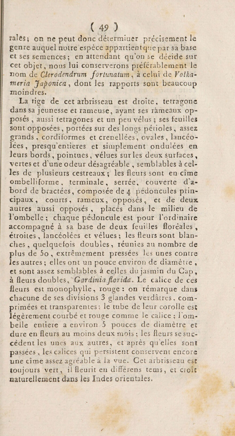 ( 49 ) raies; on ne peut donc détermiuer prccisement le genre auquel noire espèce appartientqtie par sa baie et ses semences ; en attendant qu’on se décide sur cet objet, nous lui conserverons préférablement le nom de Clerodendnim forlunatum ^ à celui de Volka^ meria Japonica^ dont les rapports sont beaucoup moindres. La tige de cet arbrisseau est droite, tetragonc dans sa jeunesse et rameuse, ayant ses rameaux op¬ posés , aussi letragones et un peu vélus ; ses feuilles sont opposées, portées sur des longs pétioles, assez grands, cordiformes et crenellées, ovales, lancéo¬ lées, presqu’entieres et simplement ondulées en leurs bords, pointues, vélues sur les deux surfaces , vertes et d’une odeur désagréable , semblables à cel¬ les de plusieurs cestreaux ; les fleurs sont en cime ombelliforme, terminale, serrée, couverte d’a¬ bord de bractées, composée de 4 pédoncules prin¬ cipaux , courts, rameux, opposés, et de deux, autres aussi opposés , placés dans le milieu de l’ombelle ; chaque pédoncule est pour l’ordinaire accompagné à sa base de deux feuilles floréales , étroites, lancéolées et vélues ; les fleurs sont blan¬ ches, quelquefois doubles, réunies au nombre de plus de 5o , extrêmement pressées les unes contre les autres ; elles ont un pouce environ de diamètre , et sont assez semblables à celles du jasmin du Cap, à fleurs doubles, Gardinia fioridc. Le calice de ces fleurs est monophylle, rouge: on rémarque dans chacune de ses divisions 3 glandes verdâtres, com¬ primées et transparentes; le tube de leur corolle esc lég èrement courbé et rouge comme ie calice ; l'om¬ belle eniiere a environ 5 pouces de diamètre et dure en fleurs au moins deux mois ; les fleurs se suc¬ cèdent les unes aux autres, et après qu’elles sont passées, les calices qui persistent conservent encore une cîme assez agréable à la vue. Cet arbrisseau est O toujours vert, il fleurit en difFérens tems, et cioît naturellement dans les Indes orientales.
