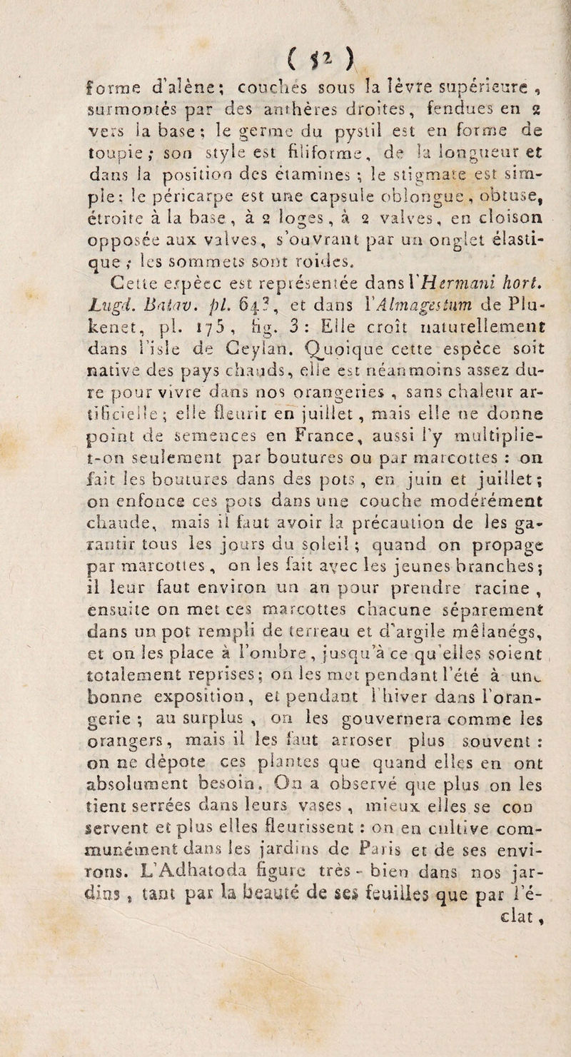 forme d’alène; cooclies sous la îèvre supérieure , sufmouîés par des anthères droites, fendues en 2 vers ia base; le germe du pysiil est en forme de toupie; son style est filiforme, de la longueur et dans ia position des étamines ; le stigmate est sim¬ ple: îe péricarpe est une capsule oblongue, obtuse, étroite à la base, à 2 loges, à 2 valves, en cloison opposée aux valves, s’oovraiit par un onglet élasti¬ que î les sorameis sont roides. Cette e.rpècc est représentée dans hort. Lugd. Baiav. pL 64?, et dans VAlmagestiim de Plu- kenet, pi. r/S, fig. 3: Elle croît naturellement dans i’isle de Geylan. Q^uoique cette espèce soit native des pays chauds, elle est néanmoins assez du¬ re pour vivre dans nos orangeries , sans chaleur ar- tificieise; elle fleurit en juillet, mais elle tre donne point de semences en France, aussi l’y multiplie- t-00 seulement par boutures ou par marcottes : on fait les boutures dans des pots , en juin et juillet; on enfonce ces pots dans une couche modérément chaude, mais il faut avoir ia précaution de les ga¬ rantir tous les jours du soleil ; quand on propage par marcottes, on les fait avec les jeunes branches; il leur faut environ un an pour prendre racine , ensuite on met ces marcottes chacune séparément dans un pot rempli de terreau et d'argile mêlanégs, et on les place à l’onibre, jusqu’à ce qu’elles soient totalement reprises; on les met pendant l’été à une bonne exposition, et pendant i hiver dans l'oran¬ gerie ; au surplus , on les gouvernera comme les orangers, mais il les faut arroser plus souvent: on ne dépote ces plantes que quand elles en ont absolument besoin. On a observé que plus on les tient serrées dans leurs vases , mieux elles se con servent et plus elles fleurissent : on en cultive com¬ munément dans les jardins de Paris et de ses envi¬ rons. L’Adhatoda figure très - bien dans nos jar¬ dins , tant par la beauté de sei feuilles que par i’é-