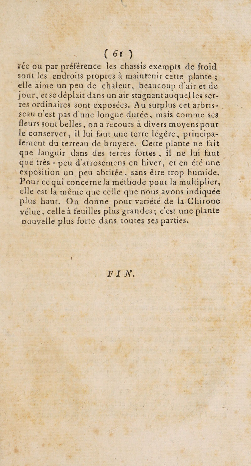 ( «r ) rée ou par préférence les châssis exempts de froid sont les endroits propres à maintenir cette plante ; elle aime un peu de chaleur, beaucoup d'air et de jour, et se déplait dans un air stagnant au que] les ser¬ res ordinaires sont exposées. Au surplus cet arbris¬ seau n’est pas d’une longue durée, mais comme ses fleurs sont belles, on a recours à divers moyens pour le conserver, il lui faut une terre légère, principa¬ lement du terreau de bruyere. Cette plante ne fait que languir dans des terres fortes , il ne lui faut que très - peu d'arrosemens en hiver, et en été une exposition un peu abritée, sans être trop humide. Pour ce qui concerne la méthode pour la multiplier, ell e est la même que celle que nous avons indiquée plus haut. On donne pour variété de la Ghirone vélue, celle à feuilles plus grandes-, c’est une plante nouvelle plus forte dans toutes ses parties. P J JV.