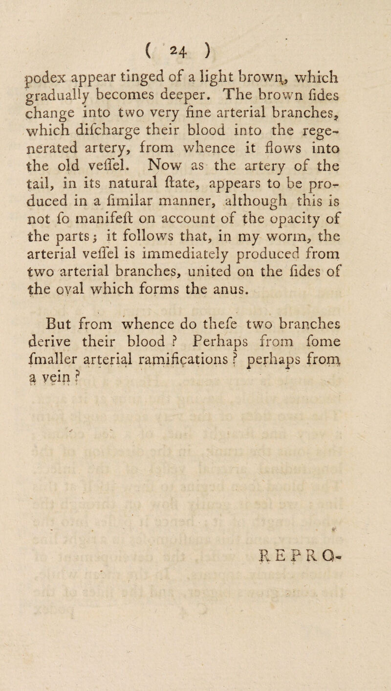 podex appear tinged of a light brown, which gradually becomes deeper. The brown fides change into two very fine arterial branches, which difcharge their blood into the rege¬ nerated artery, from whence it flows into the old vefiel. Now as the artery of the tail, in its natural fiate, appears to be pro¬ duced in a fimilar manner, although this is not fo manifeft on account of the opacity of the parts ^ it follows that, in my worm, the arterial vefiel is immediately produced from two arterial branches, united on the fides of the oval which forms the anus. But from whence do thefe two branches derive their blood ? Perhaps from fome fmaller arterial ramifications ? perhaps from a vein ? RE PR Q’ r
