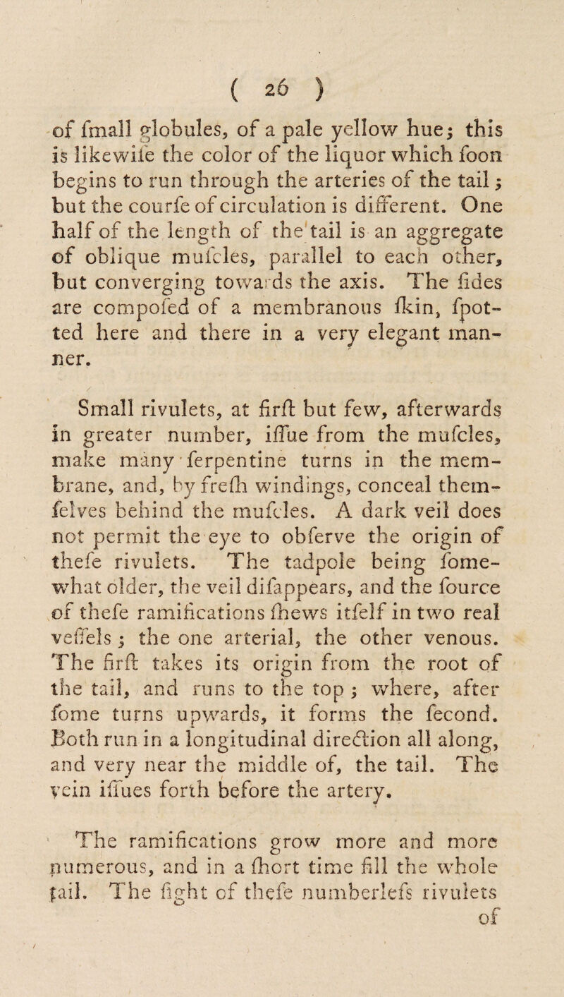 of finali globules, of a pale yellow hue j this is likewife the color of the liquor which foon begins to run through the arteries of the tail ; but the courfe of circulation is different. One half of the length of the tail is an aggregate of oblique mufcles, parallel to each other, but converging towards the axis. The fides are compofed of a membranous fkin, fpot- ted here and there in a very elegant man¬ ner. / Small rivulets, at fir ft but few, afterwards in greater number, iffue from the mufcles, make many Terpentine turns in the mem¬ brane, and, hyfrefh windings, conceal them- feives behind the mufcles. A dark veil does not permit the eye to obferve the origin of thefe rivulets. The tadpole being fome- what older, the veil difappears, and the fource of thefe ramifications fhews itfelf in two real veffels ; the one arterial, the other venous. The fir ft takes its origin from the root of the tail, and runs to the top ; where, after fonie turns upwards, it forms the fecond. Both run in a longitudinal direction all along, and very near the middle of, the tail. The vein blues forth before the artery. The ramifications grow more and more numerous, and in a fhort time fill the whole fail. The fight of thefe numberlefs rivulets of