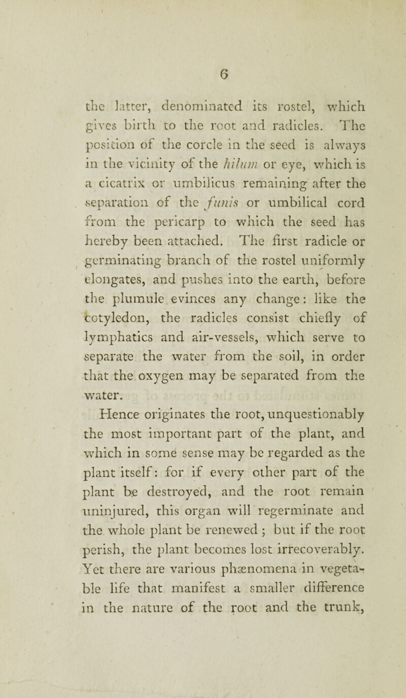 the latter, denominated its rostel, which gives birth to the root and radicles. The position of the corcle in the seed is always in the vicinity of the liilum or eye, which is a cicatrix or umbilicus remaining after the separation of the funis or umbilical cord from the pericarp to which the seed has hereby been attached. The first radicle or germinating branch of the rostel uniformly elongates, and pushes into the earth, before the plumule evinces any change: like the cotyledon, the radicles consist chiefly of lymphatics and air-vessels, which serve to separate the water from the soil, in order that the oxygen may be separated from the water. Hence originates the root, unquestionably the most important part of the plant, and which in some sense may be regarded as the plant itself: for if every other part of the plant be destroyed, and the root remain uninjured, this organ will regerminate and the whole plant be renewed ; but if the root perish, the plant becomes lost irrecoverably. Yet there are various phenomena in v-egetaw ble life that manifest a smaller difference in the nature of the root and the trunk,